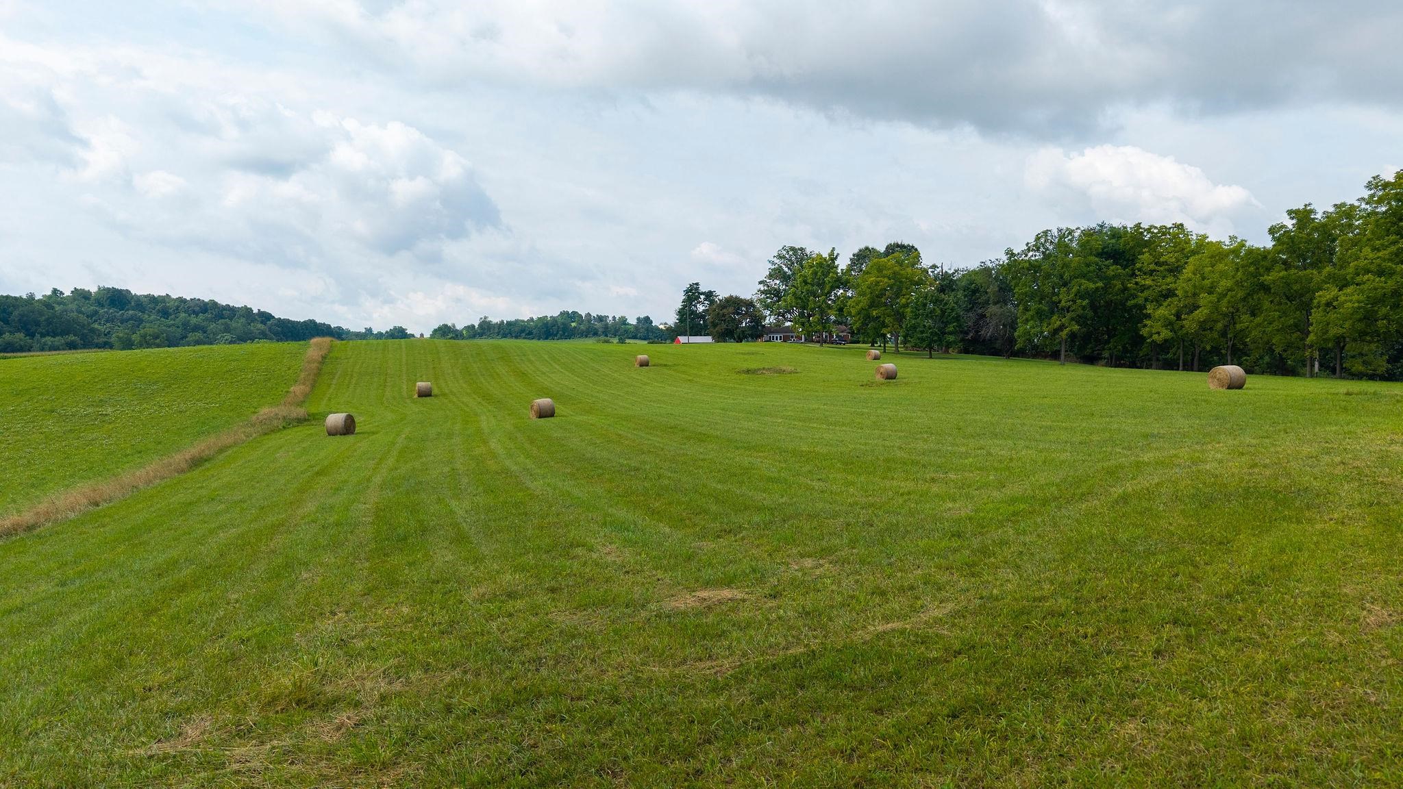 TBD STONE BRANCH RD, STAUNTON, Virginia 24401, ,Land,TBD STONE BRANCH RD,679838 MLS # 679838