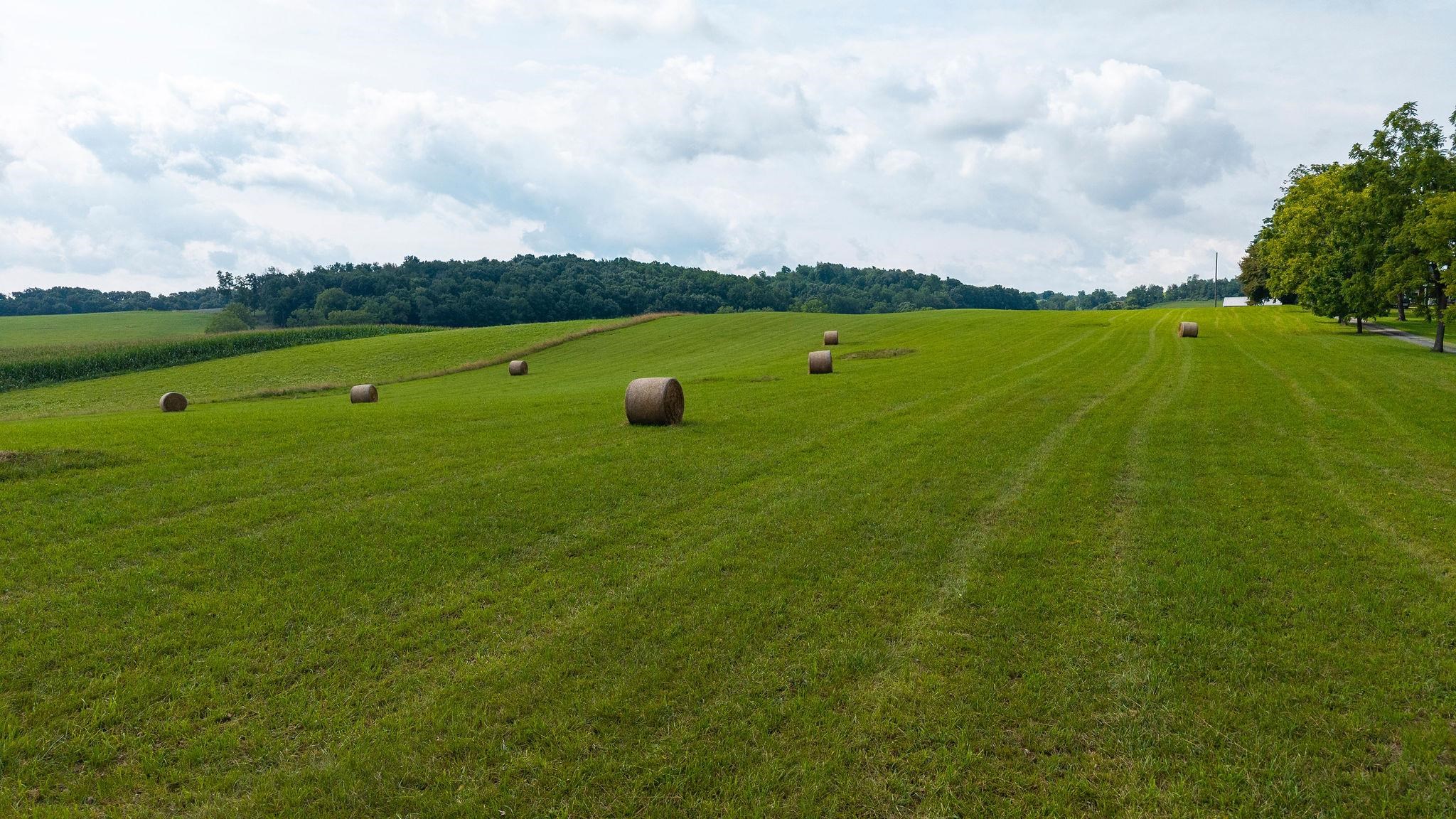 TBD STONE BRANCH RD, STAUNTON, Virginia 24401, ,Land,TBD STONE BRANCH RD,679838 MLS # 679838