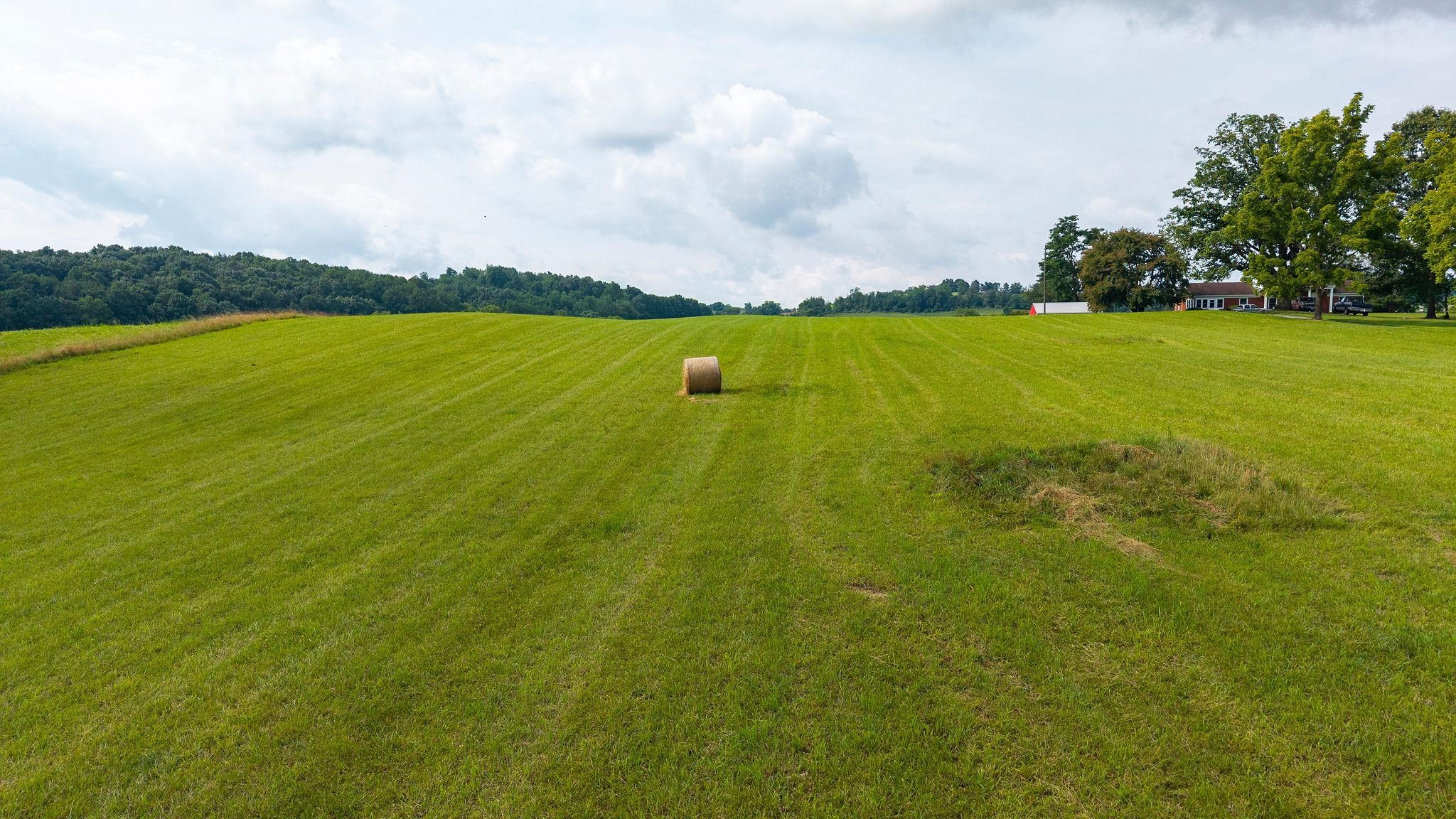 TBD STONE BRANCH RD, STAUNTON, Virginia 24401, ,Land,TBD STONE BRANCH RD,679838 MLS # 679838
