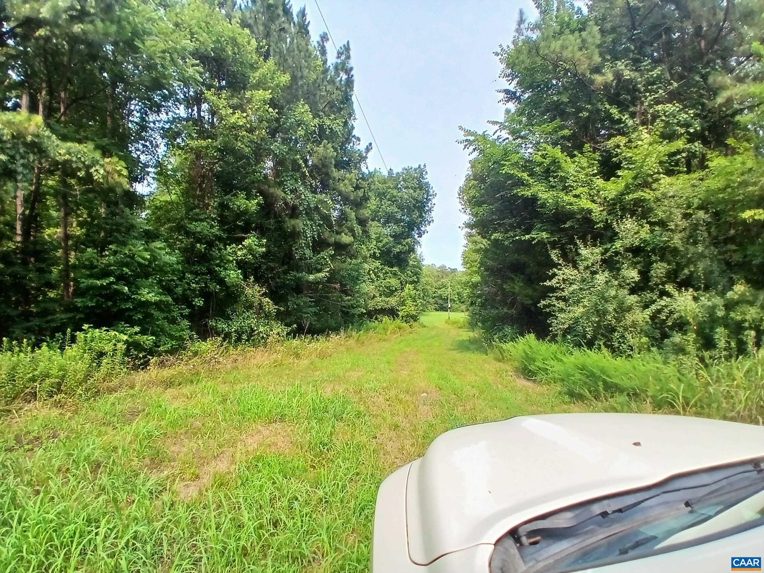 1294 RANDOLPH CREEK RD, NEW CANTON, Virginia 23123, ,Land,1294 RANDOLPH CREEK RD,679885 MLS # 679885 1294 RANDOLPH CREEK RD, NEW CANTON, Virginia 23123, ,Land,1294 RANDOLPH CREEK RD,679885 MLS # 679885