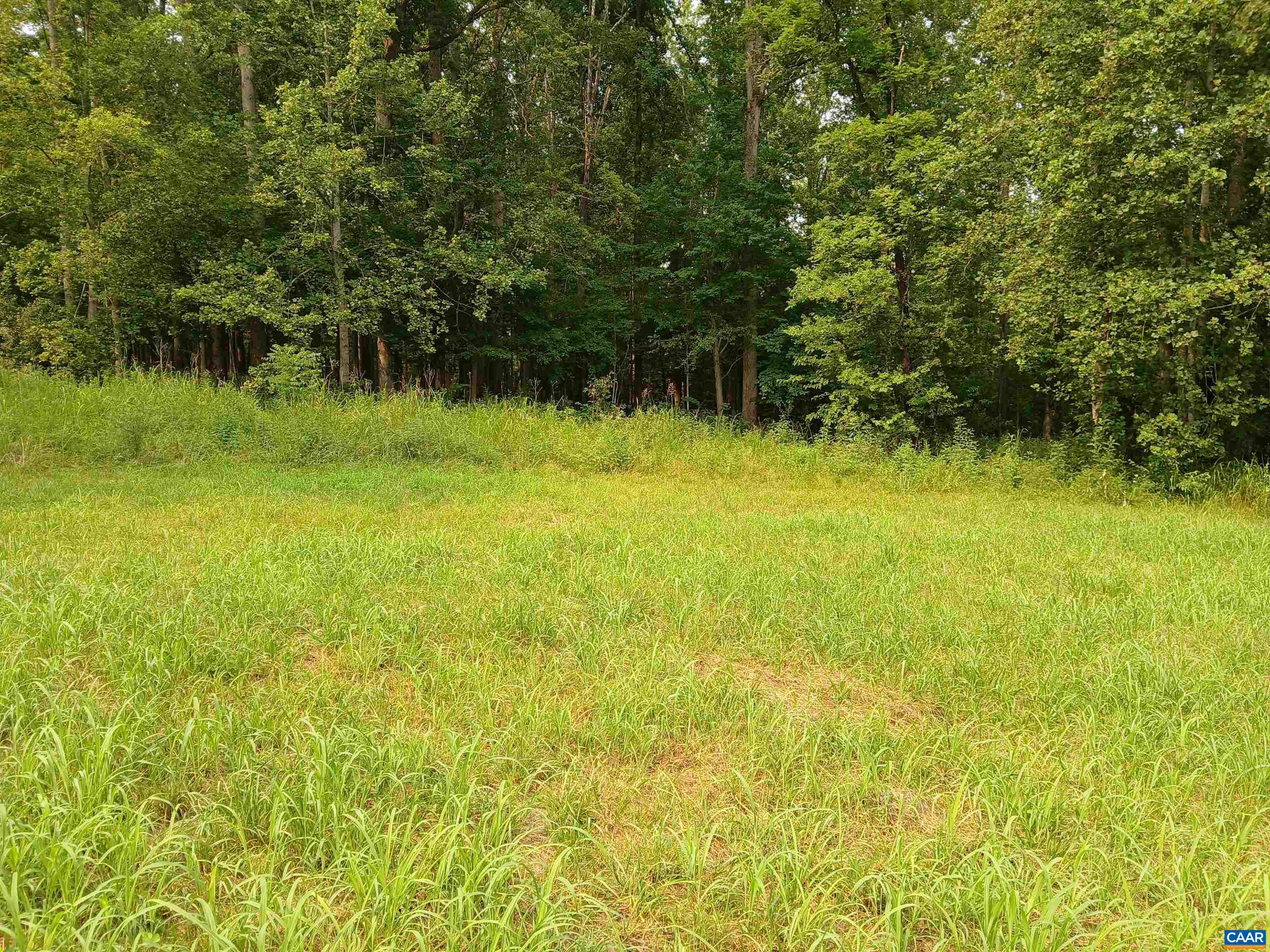 1294 RANDOLPH CREEK RD, NEW CANTON, Virginia 23123, ,Land,1294 RANDOLPH CREEK RD,679885 MLS # 679885 1294 RANDOLPH CREEK RD, NEW CANTON, Virginia 23123, ,Land,1294 RANDOLPH CREEK RD,679885 MLS # 679885