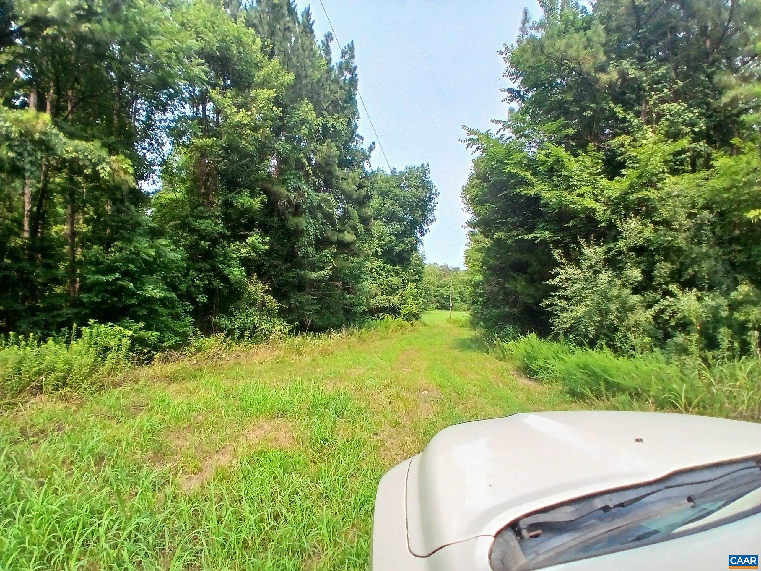 1294 RANDOLPH CREEK RD, NEW CANTON, Virginia 23123, ,Land,1294 RANDOLPH CREEK RD,679885 MLS # 679885 1294 RANDOLPH CREEK RD, NEW CANTON, Virginia 23123, ,Land,1294 RANDOLPH CREEK RD,679885 MLS # 679885