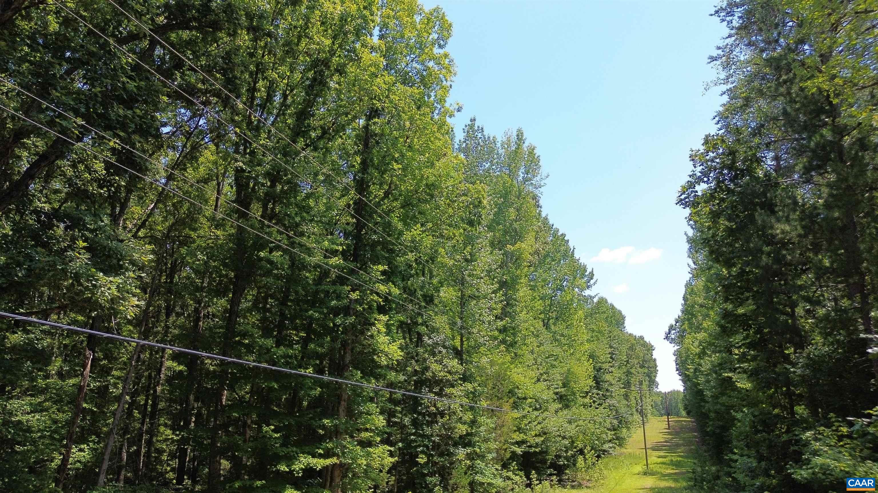 STAGE JUNCTION RD, COLUMBIA, Virginia 23038, ,Land,STAGE JUNCTION RD,679889 MLS # 679889