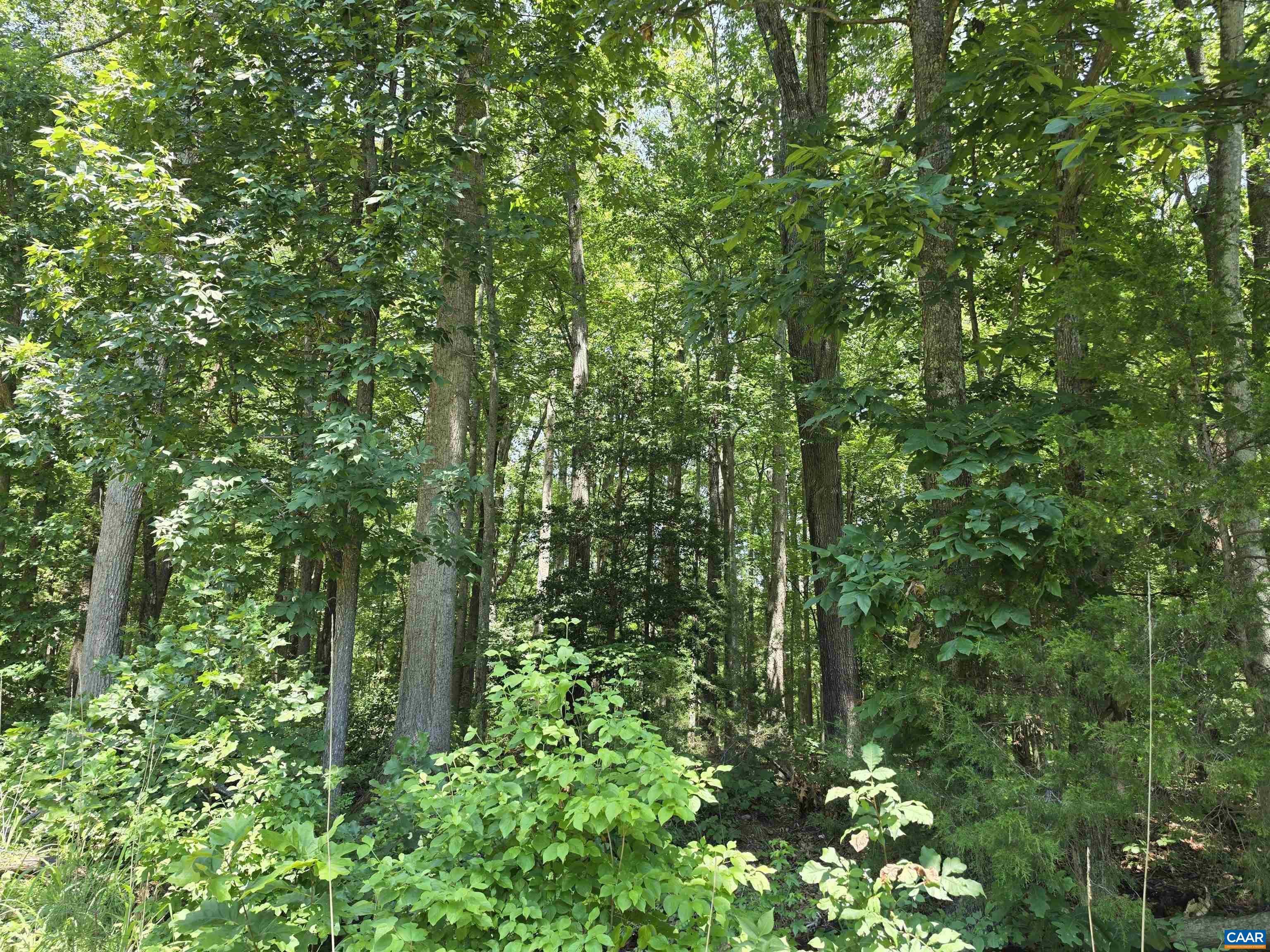 STAGE JUNCTION RD, COLUMBIA, Virginia 23038, ,Land,STAGE JUNCTION RD,679889 MLS # 679889