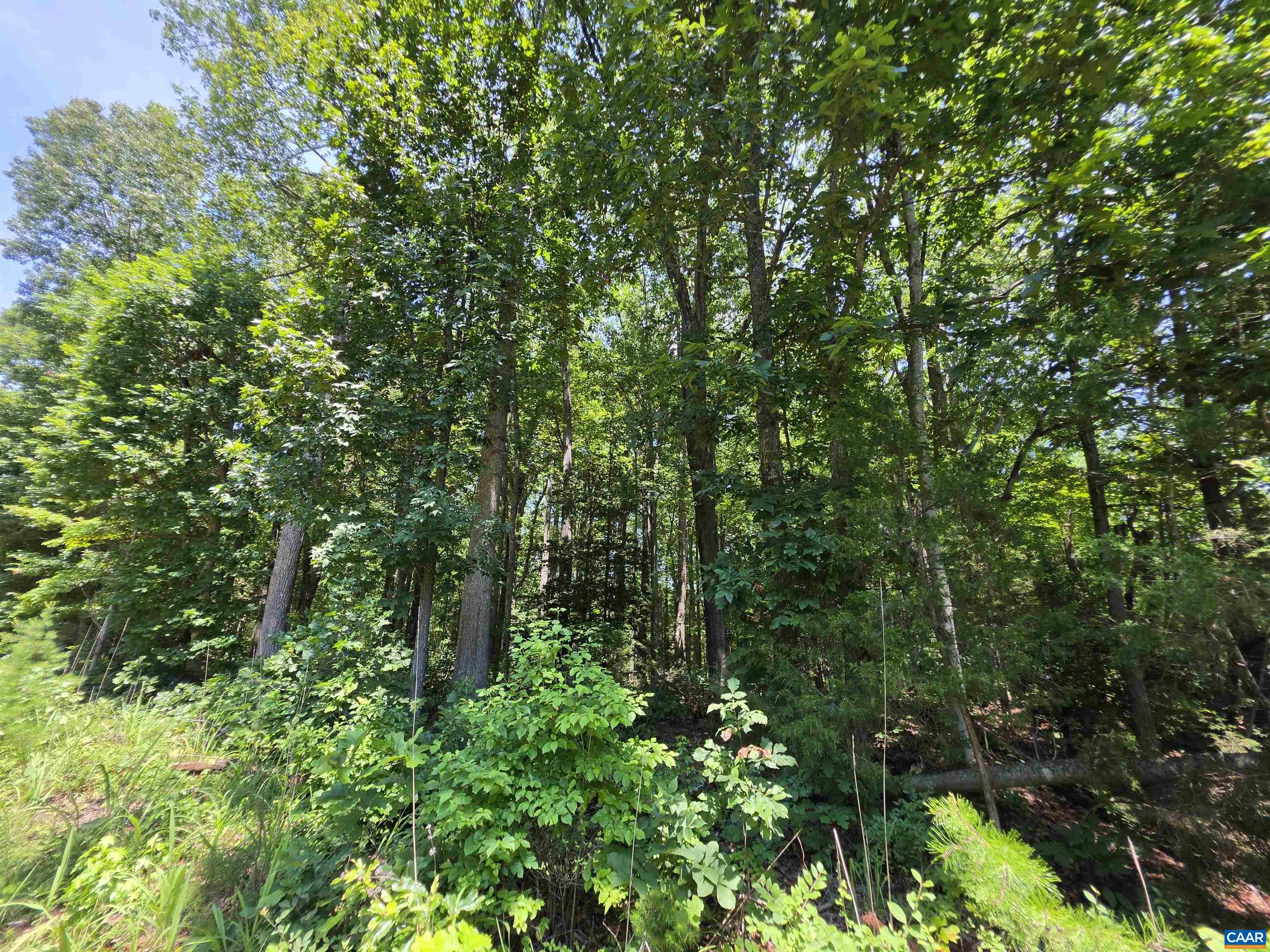 STAGE JUNCTION RD, COLUMBIA, Virginia 23038, ,Land,STAGE JUNCTION RD,679889 MLS # 679889