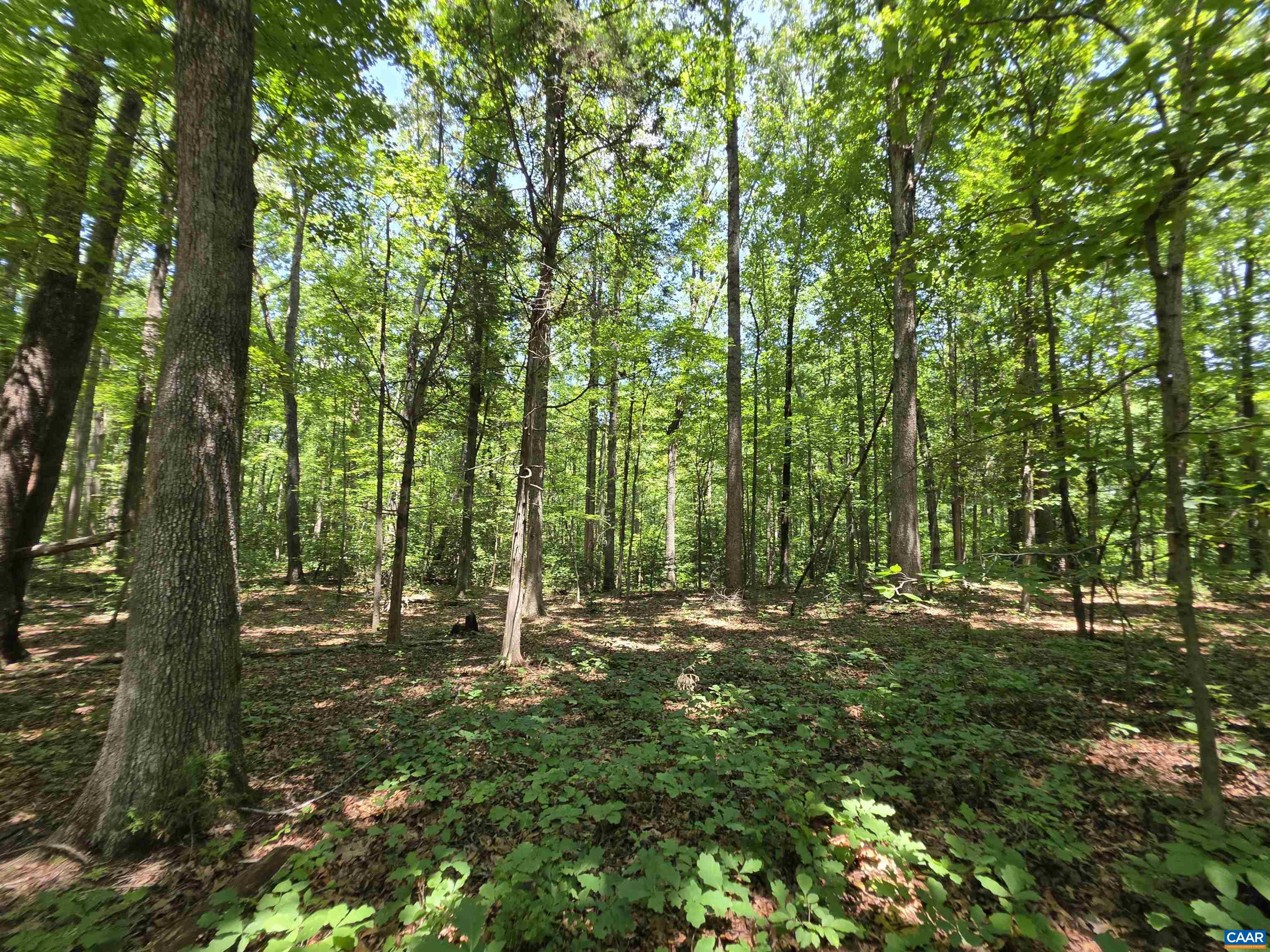 STAGE JUNCTION RD, COLUMBIA, Virginia 23038, ,Land,STAGE JUNCTION RD,679889 MLS # 679889