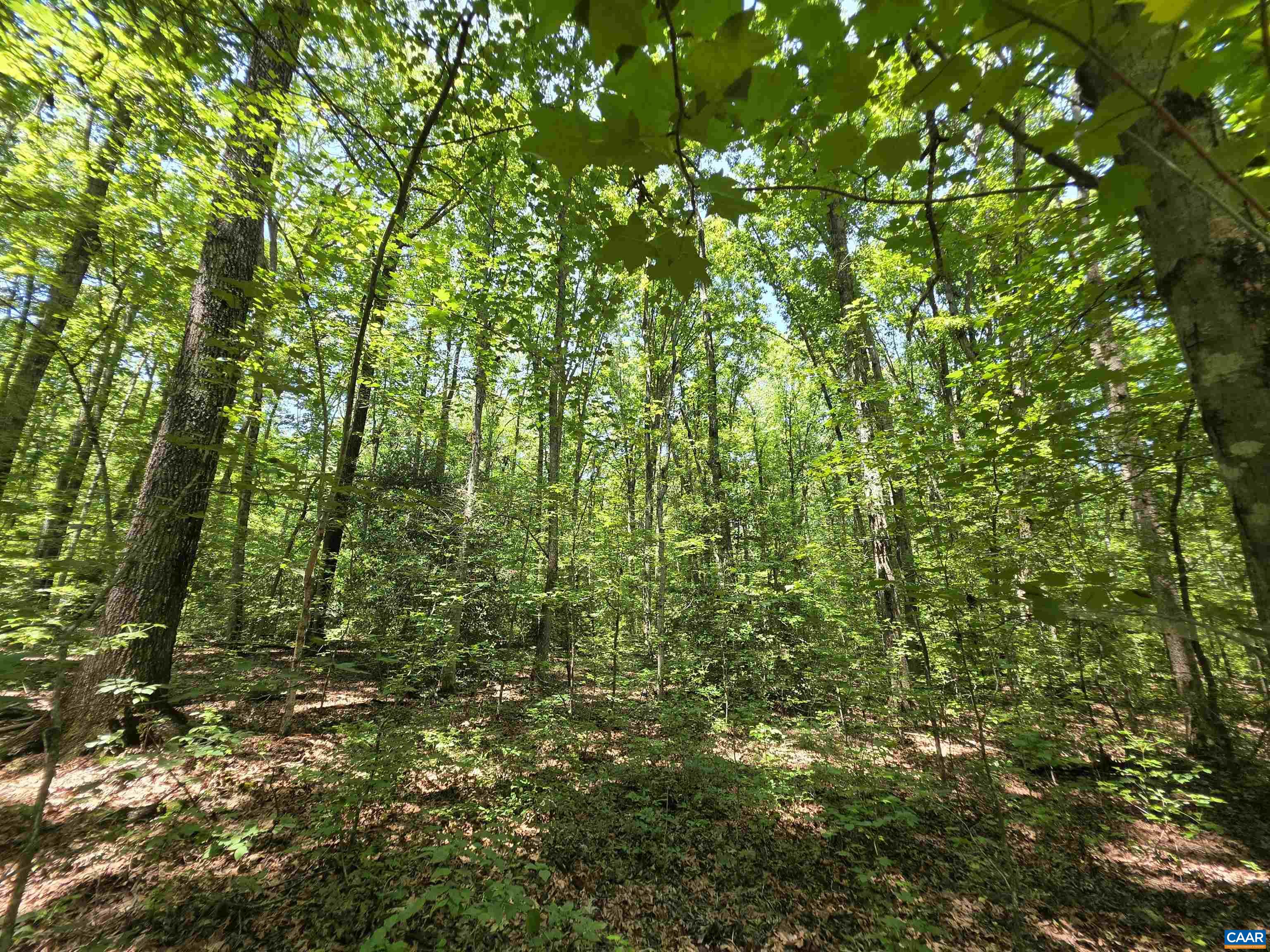 STAGE JUNCTION RD, COLUMBIA, Virginia 23038, ,Land,STAGE JUNCTION RD,679889 MLS # 679889