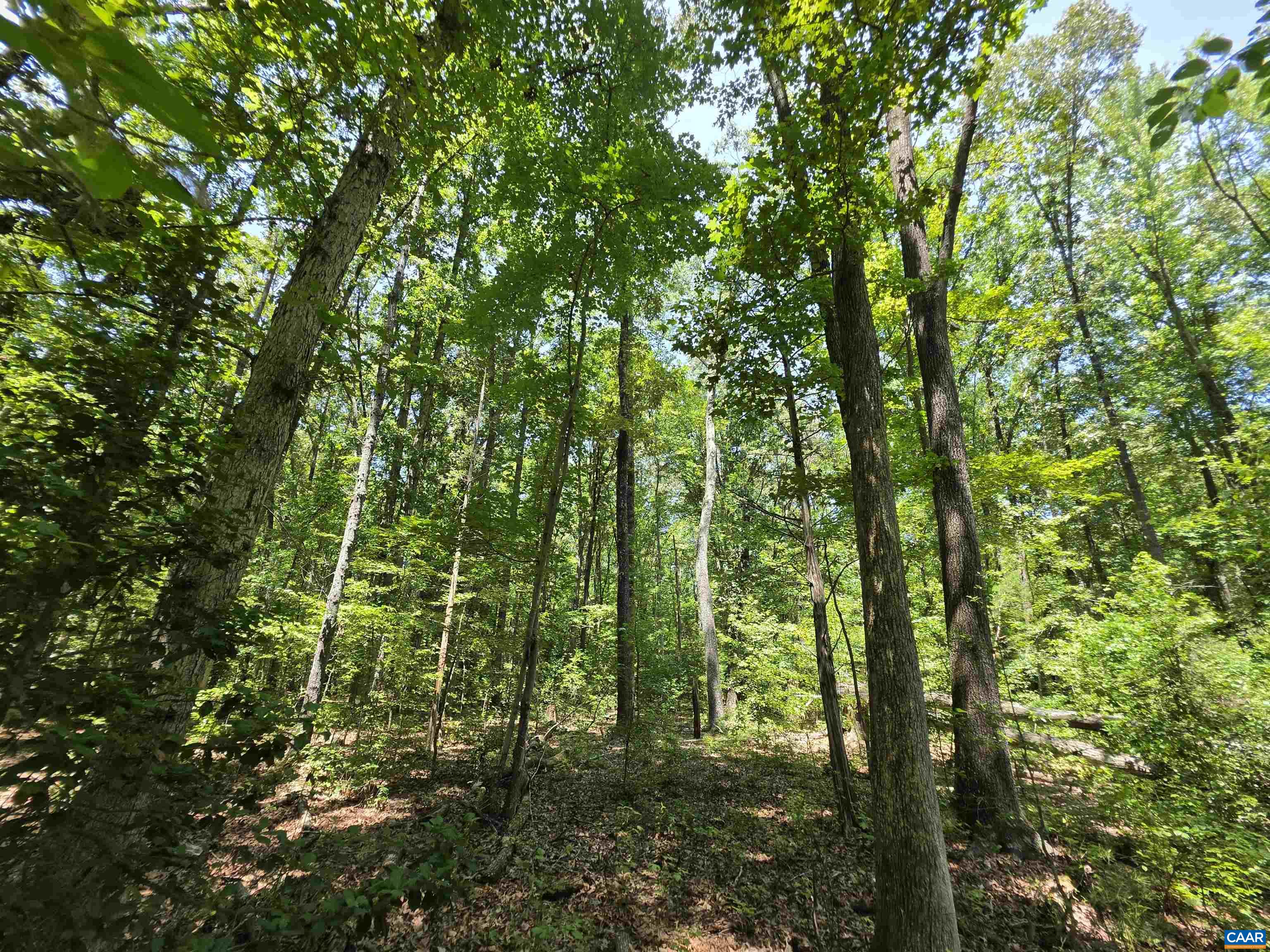 STAGE JUNCTION RD, COLUMBIA, Virginia 23038, ,Land,STAGE JUNCTION RD,679889 MLS # 679889