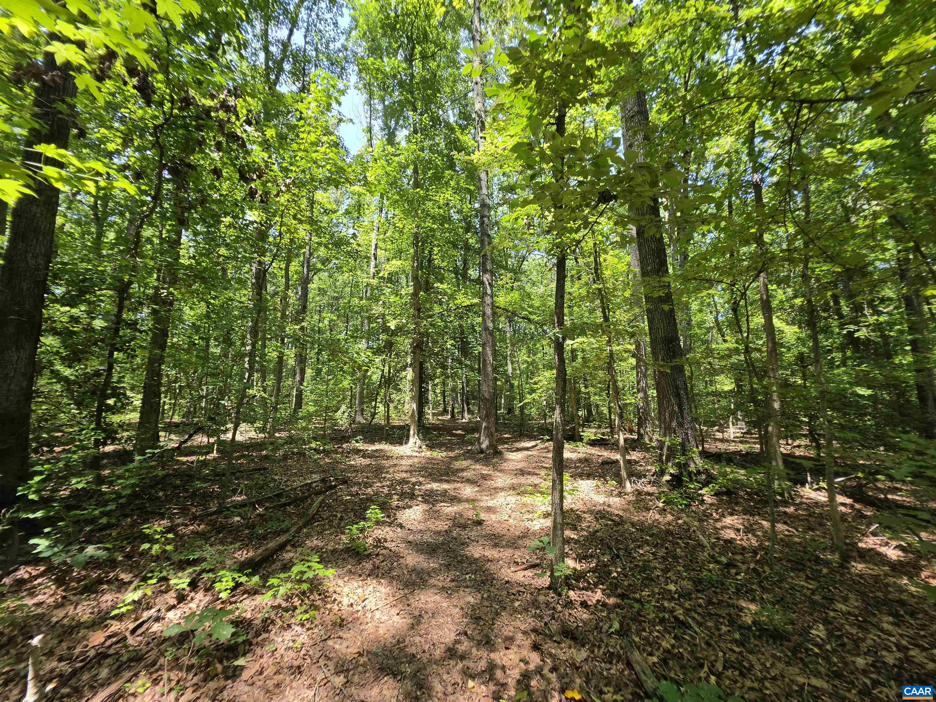 STAGE JUNCTION RD, COLUMBIA, Virginia 23038, ,Land,STAGE JUNCTION RD,679889 MLS # 679889