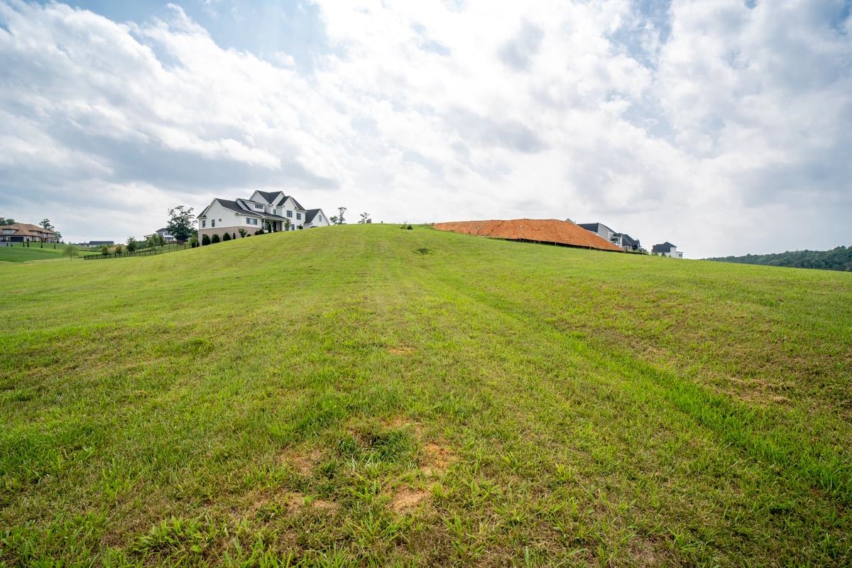 TBD CLAYBROOK CT, ROCKINGHAM, Virginia 22801, ,Land,TBD CLAYBROOK CT,679894 MLS # 679894 TBD CLAYBROOK CT, ROCKINGHAM, Virginia 22801, ,Land,TBD CLAYBROOK CT,679894 MLS # 679894