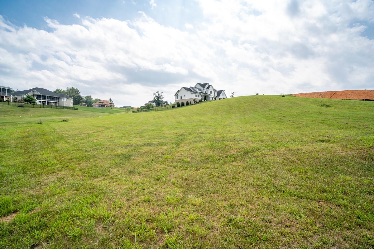 TBD CLAYBROOK CT, ROCKINGHAM, Virginia 22801, ,Land,TBD CLAYBROOK CT,679894 MLS # 679894 TBD CLAYBROOK CT, ROCKINGHAM, Virginia 22801, ,Land,TBD CLAYBROOK CT,679894 MLS # 679894
