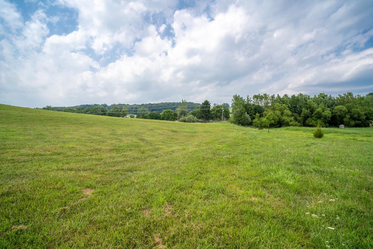 TBD CLAYBROOK CT, ROCKINGHAM, Virginia 22801, ,Land,TBD CLAYBROOK CT,679894 MLS # 679894 TBD CLAYBROOK CT, ROCKINGHAM, Virginia 22801, ,Land,TBD CLAYBROOK CT,679894 MLS # 679894
