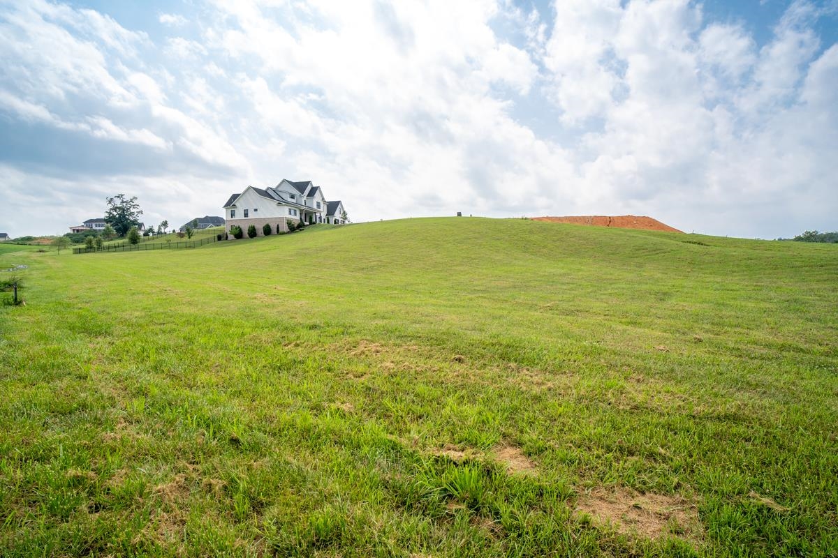 TBD CLAYBROOK CT, ROCKINGHAM, Virginia 22801, ,Land,TBD CLAYBROOK CT,679894 MLS # 679894 TBD CLAYBROOK CT, ROCKINGHAM, Virginia 22801, ,Land,TBD CLAYBROOK CT,679894 MLS # 679894