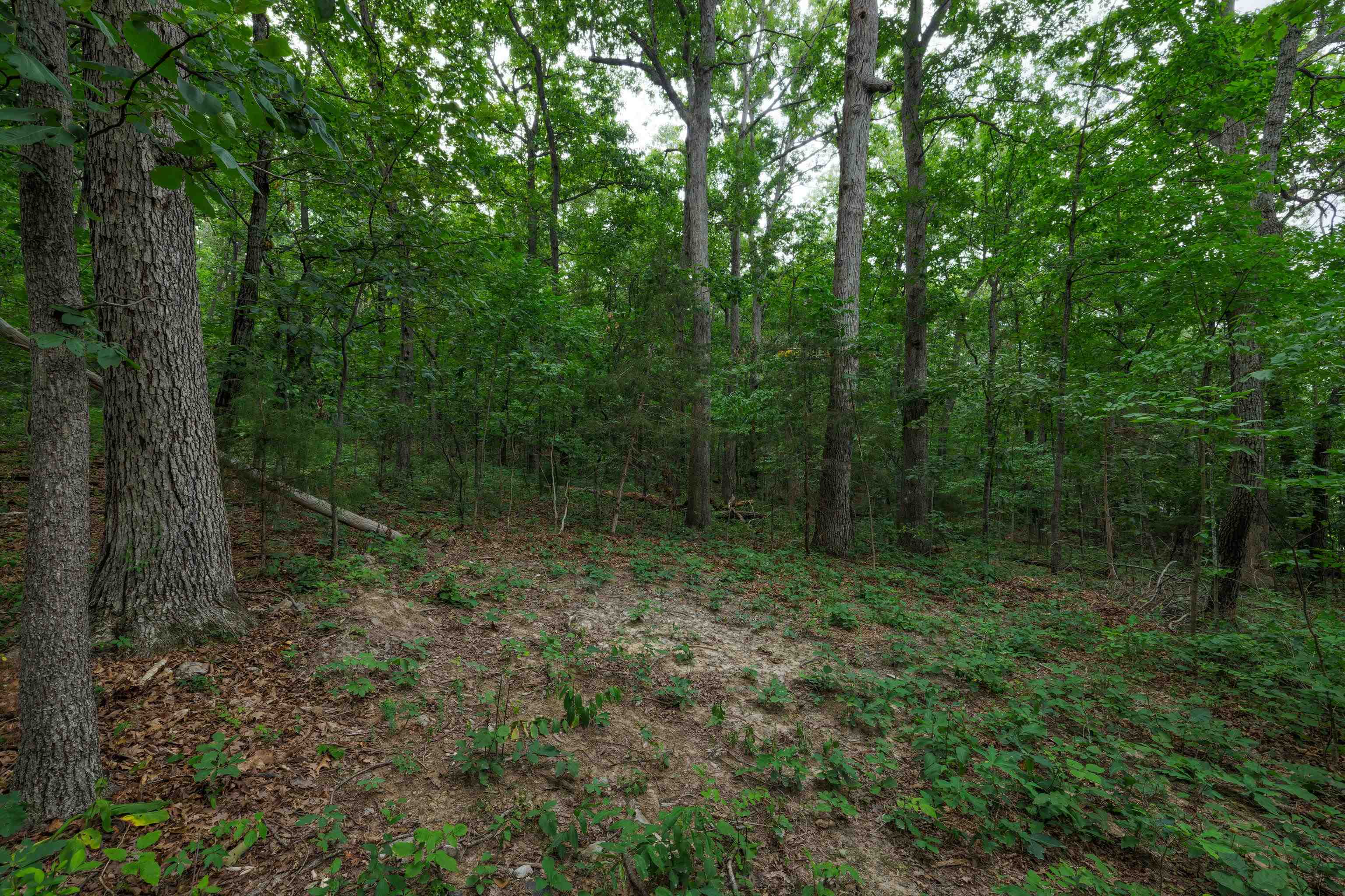 0 PINE BLUFF RD, WAYNESBORO, Virginia 22980, ,Land,0 PINE BLUFF RD,679895 MLS # 679895