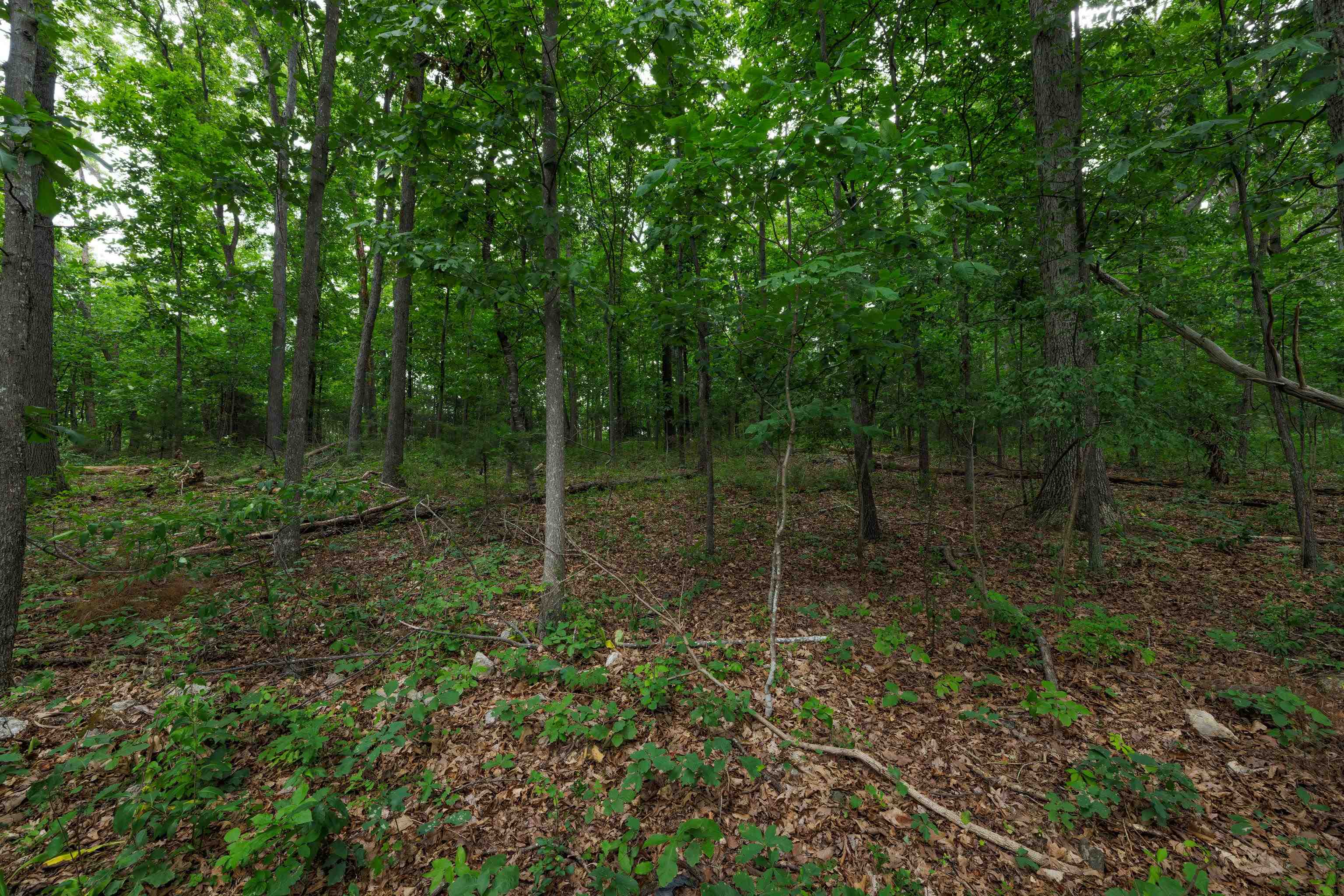 0 PINE BLUFF RD, WAYNESBORO, Virginia 22980, ,Land,0 PINE BLUFF RD,679895 MLS # 679895