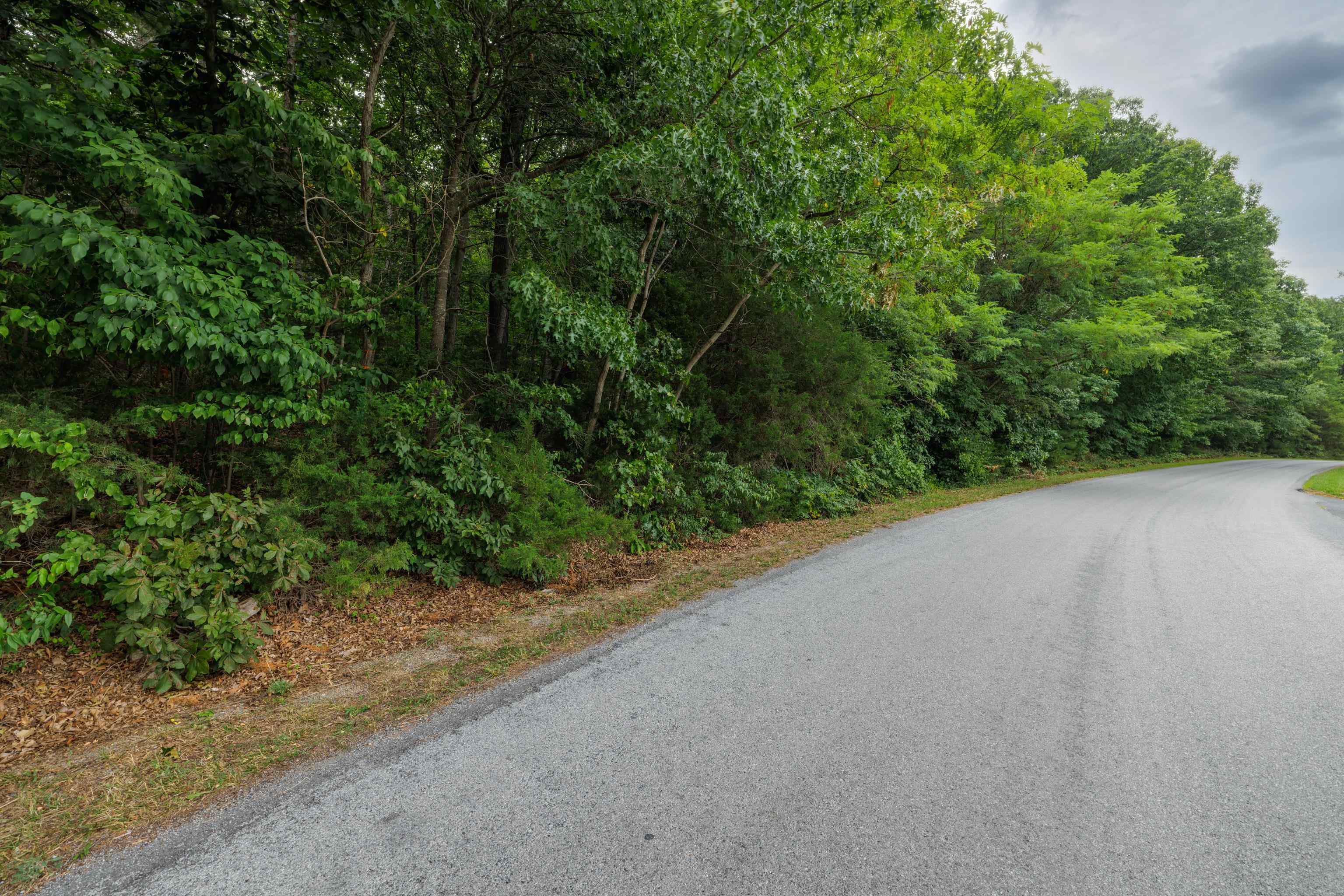 0 PINE BLUFF RD, WAYNESBORO, Virginia 22980, ,Land,0 PINE BLUFF RD,679895 MLS # 679895