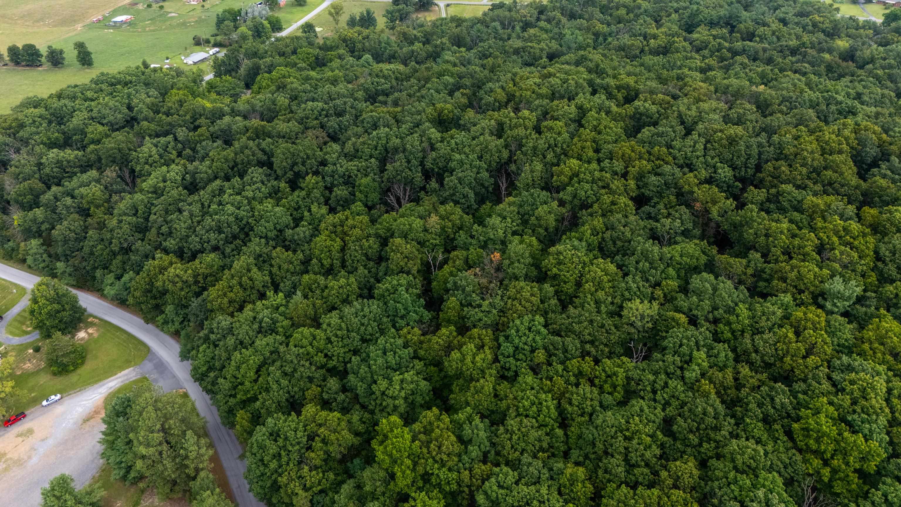 0 PINE BLUFF RD, WAYNESBORO, Virginia 22980, ,Land,0 PINE BLUFF RD,679895 MLS # 679895