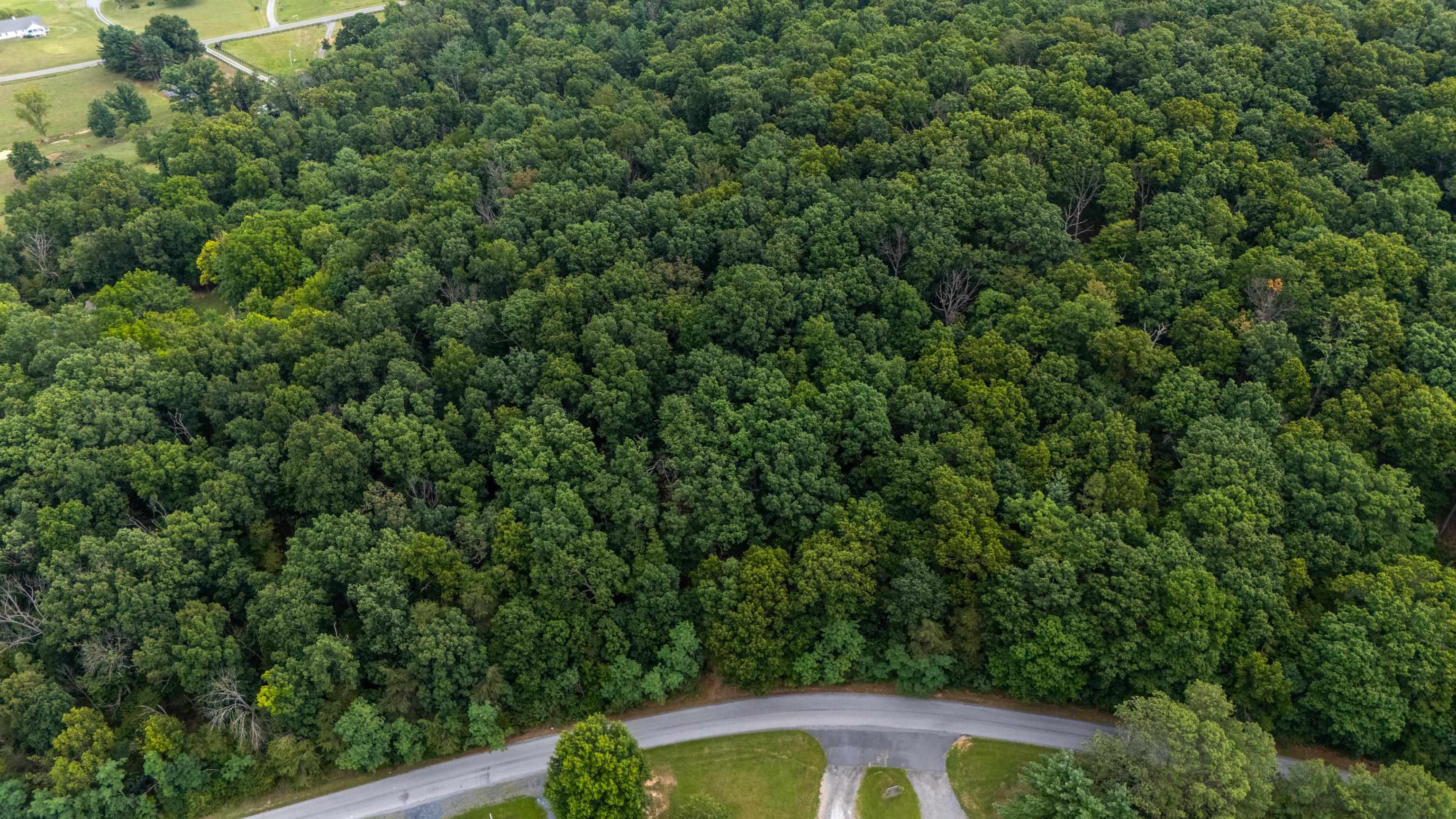 0 PINE BLUFF RD, WAYNESBORO, Virginia 22980, ,Land,0 PINE BLUFF RD,679895 MLS # 679895