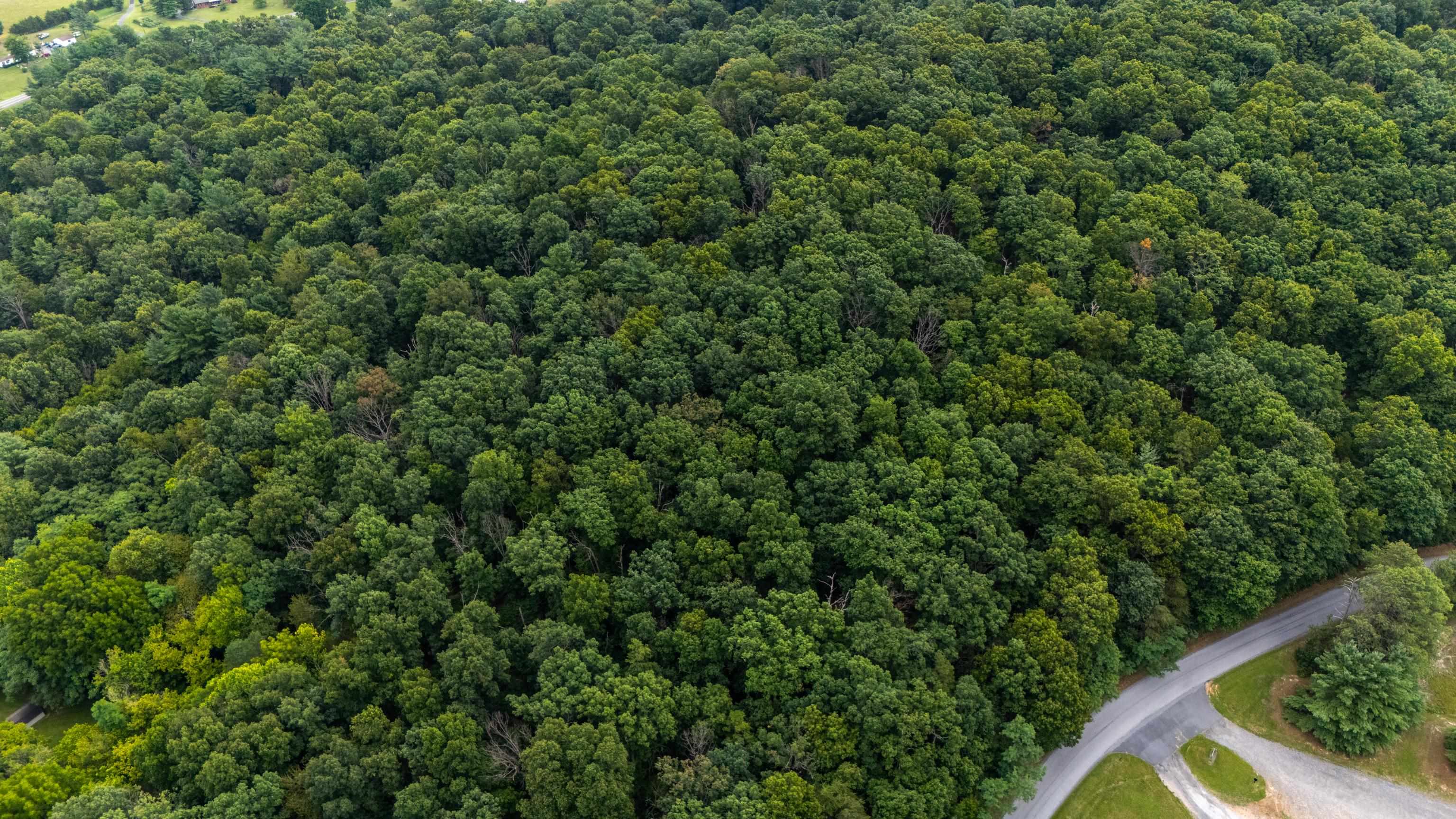 0 PINE BLUFF RD, WAYNESBORO, Virginia 22980, ,Land,0 PINE BLUFF RD,679895 MLS # 679895