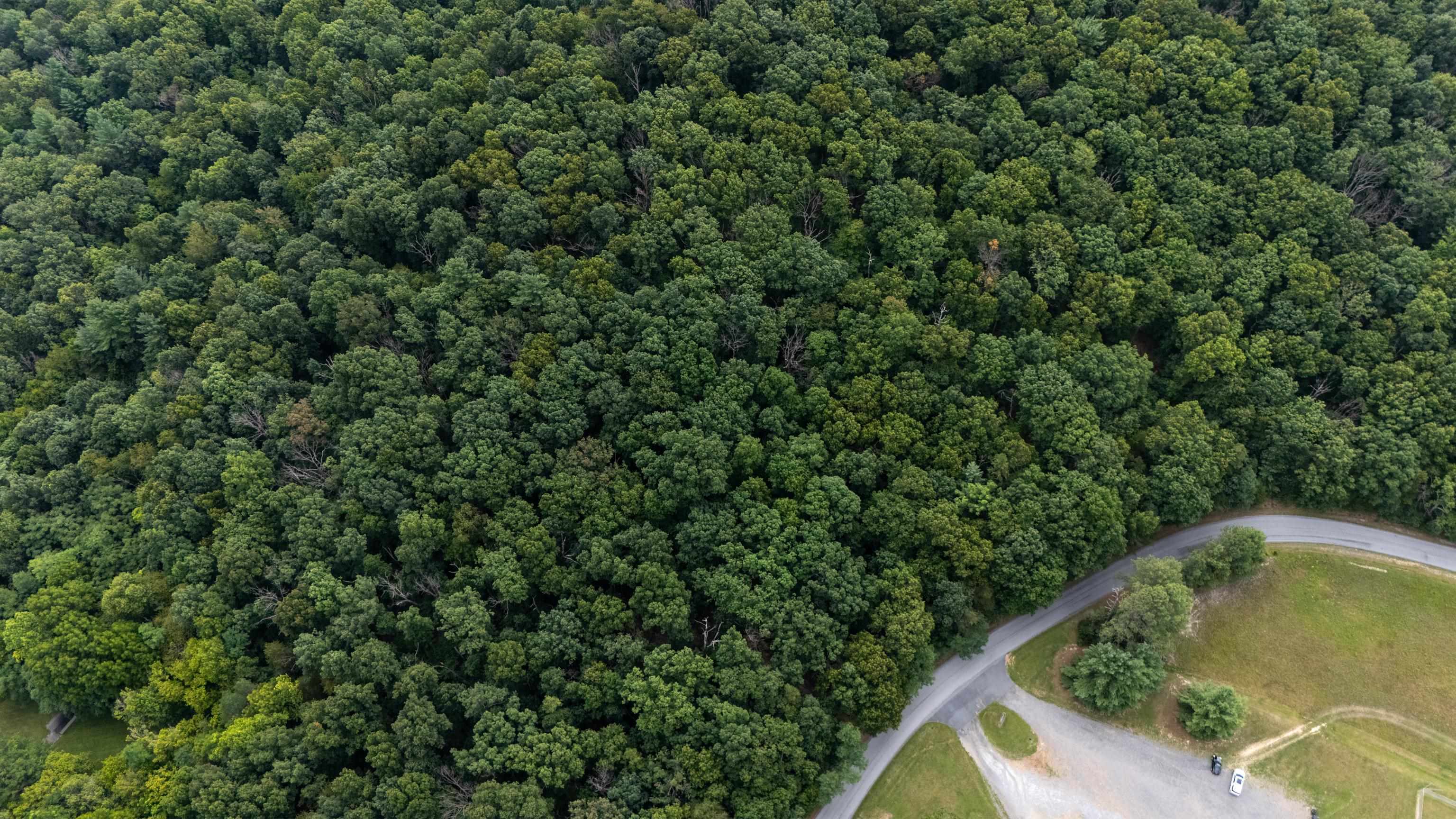 0 PINE BLUFF RD, WAYNESBORO, Virginia 22980, ,Land,0 PINE BLUFF RD,679895 MLS # 679895