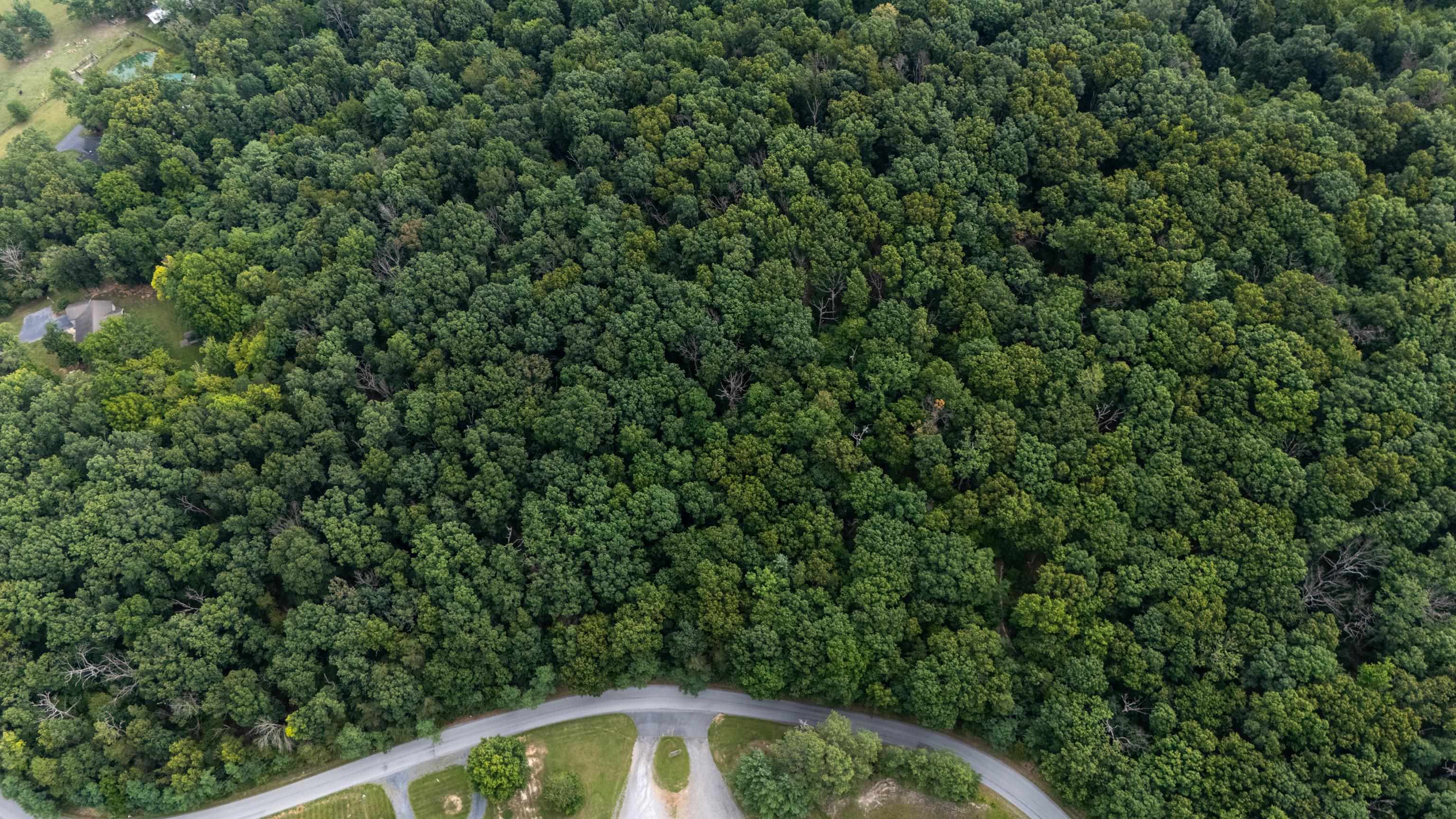 0 PINE BLUFF RD, WAYNESBORO, Virginia 22980, ,Land,0 PINE BLUFF RD,679895 MLS # 679895