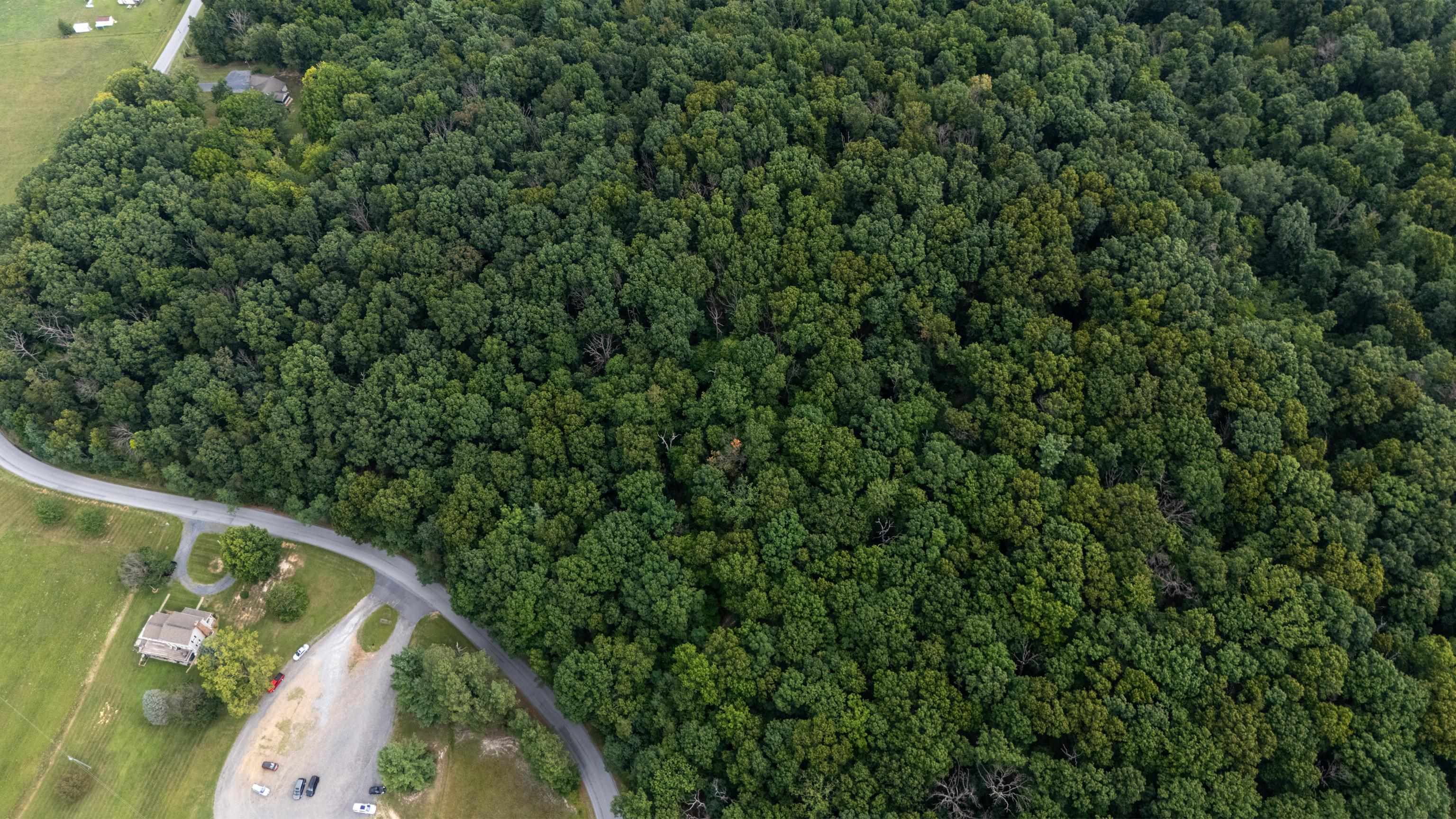 0 PINE BLUFF RD, WAYNESBORO, Virginia 22980, ,Land,0 PINE BLUFF RD,679895 MLS # 679895