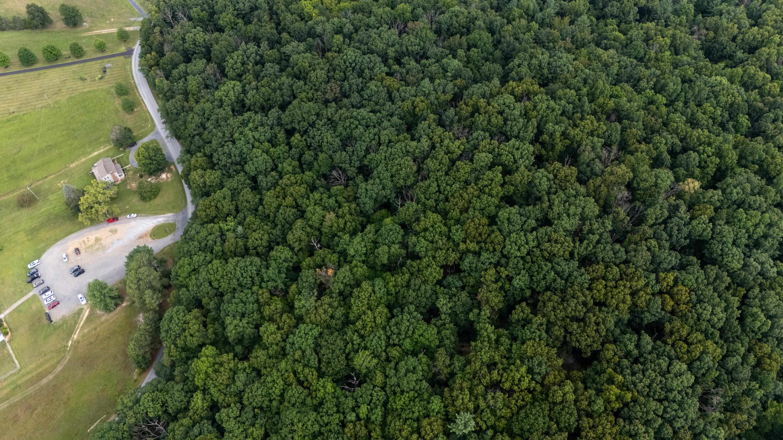 0 PINE BLUFF RD, WAYNESBORO, Virginia 22980, ,Land,0 PINE BLUFF RD,679895 MLS # 679895