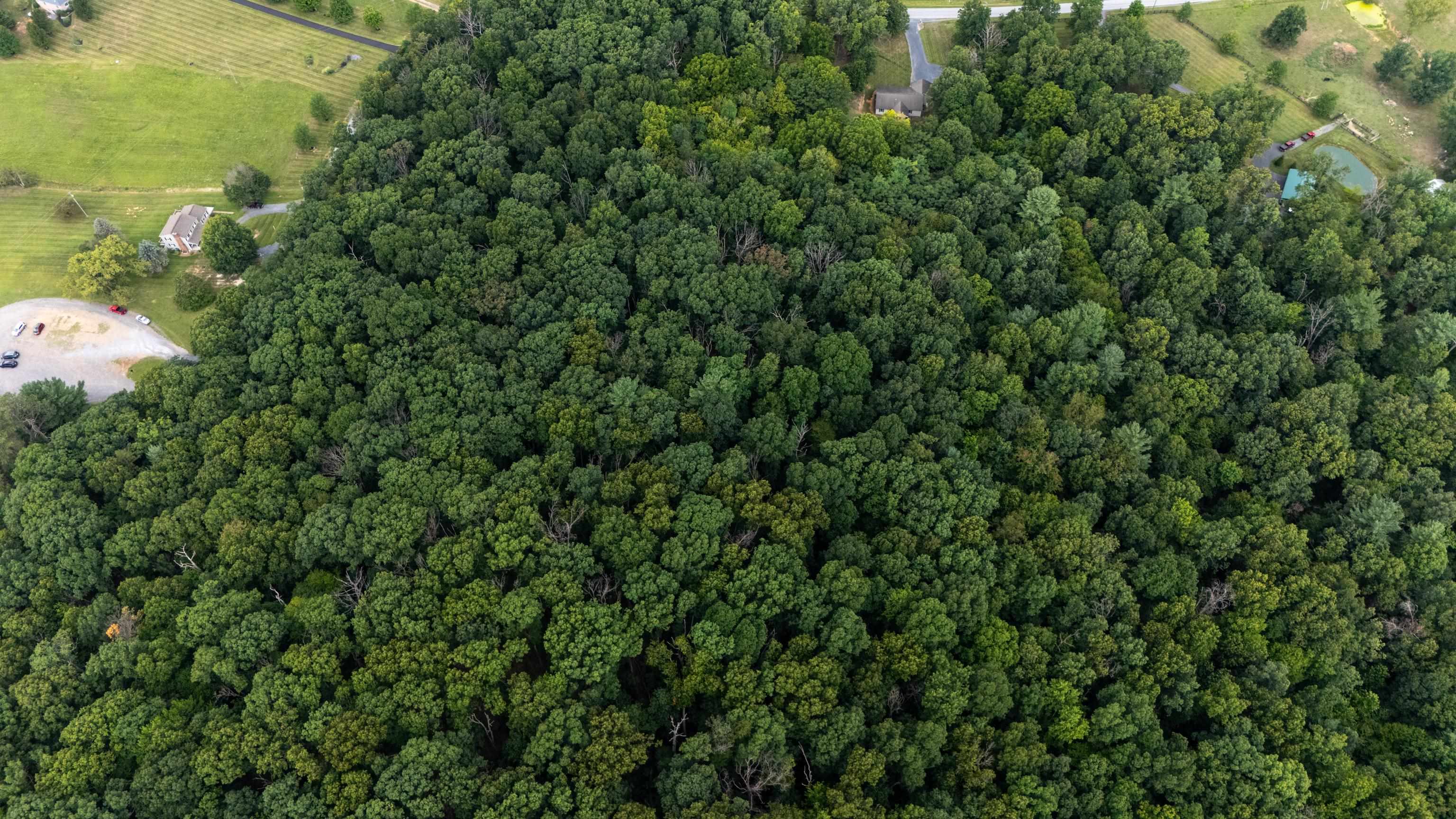 0 PINE BLUFF RD, WAYNESBORO, Virginia 22980, ,Land,0 PINE BLUFF RD,679895 MLS # 679895