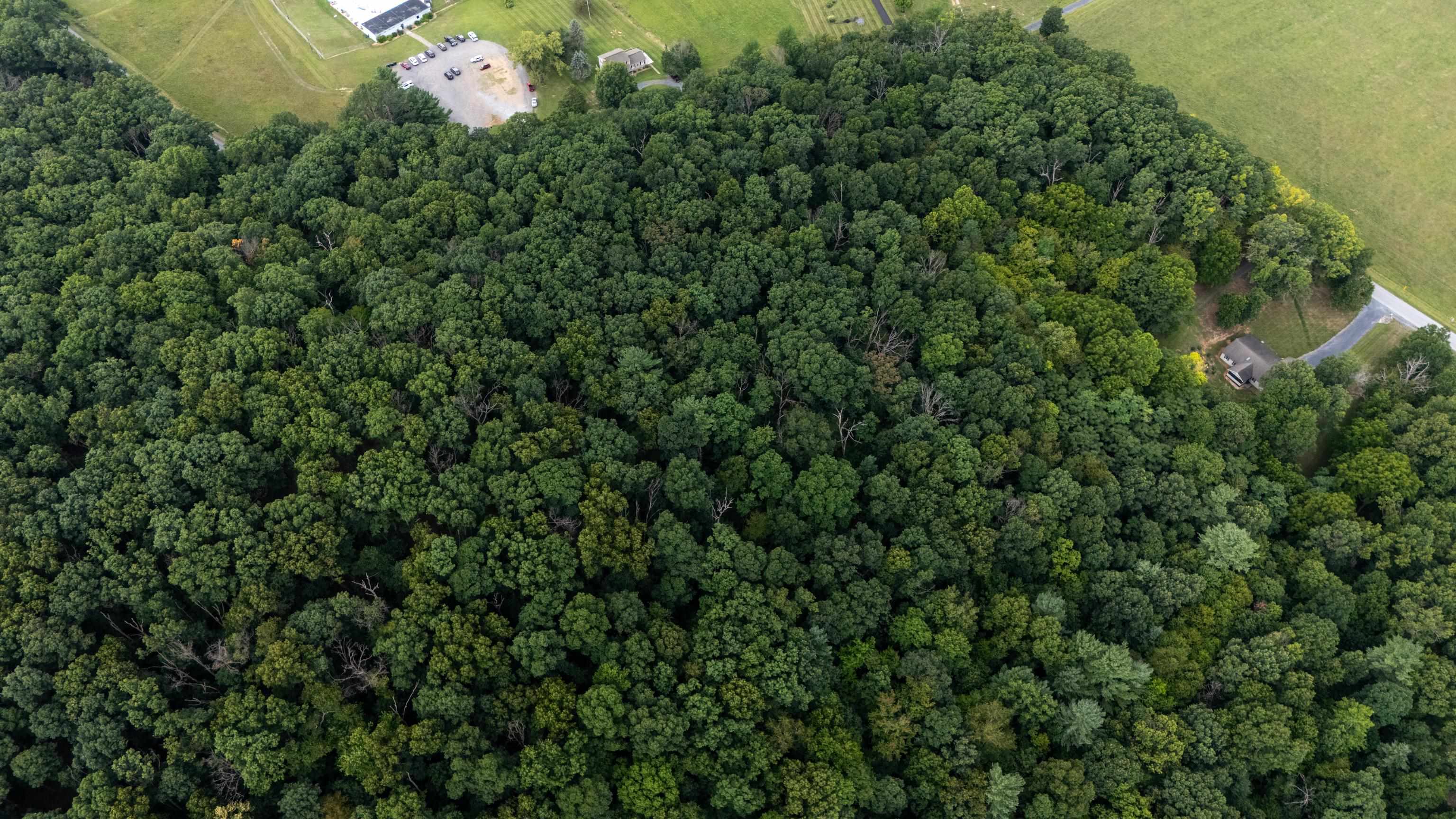 0 PINE BLUFF RD, WAYNESBORO, Virginia 22980, ,Land,0 PINE BLUFF RD,679895 MLS # 679895