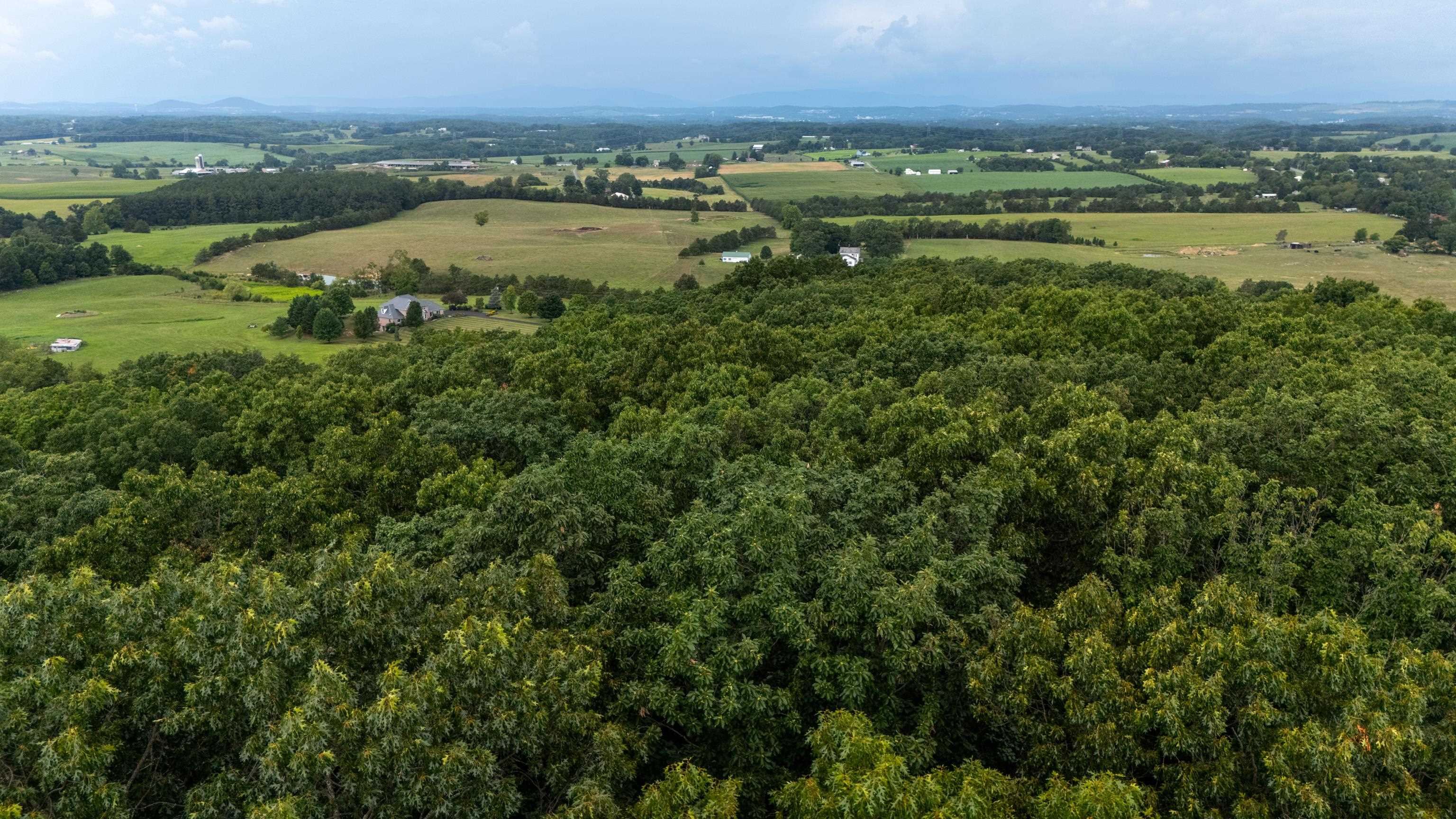 0 PINE BLUFF RD, WAYNESBORO, Virginia 22980, ,Land,0 PINE BLUFF RD,679895 MLS # 679895