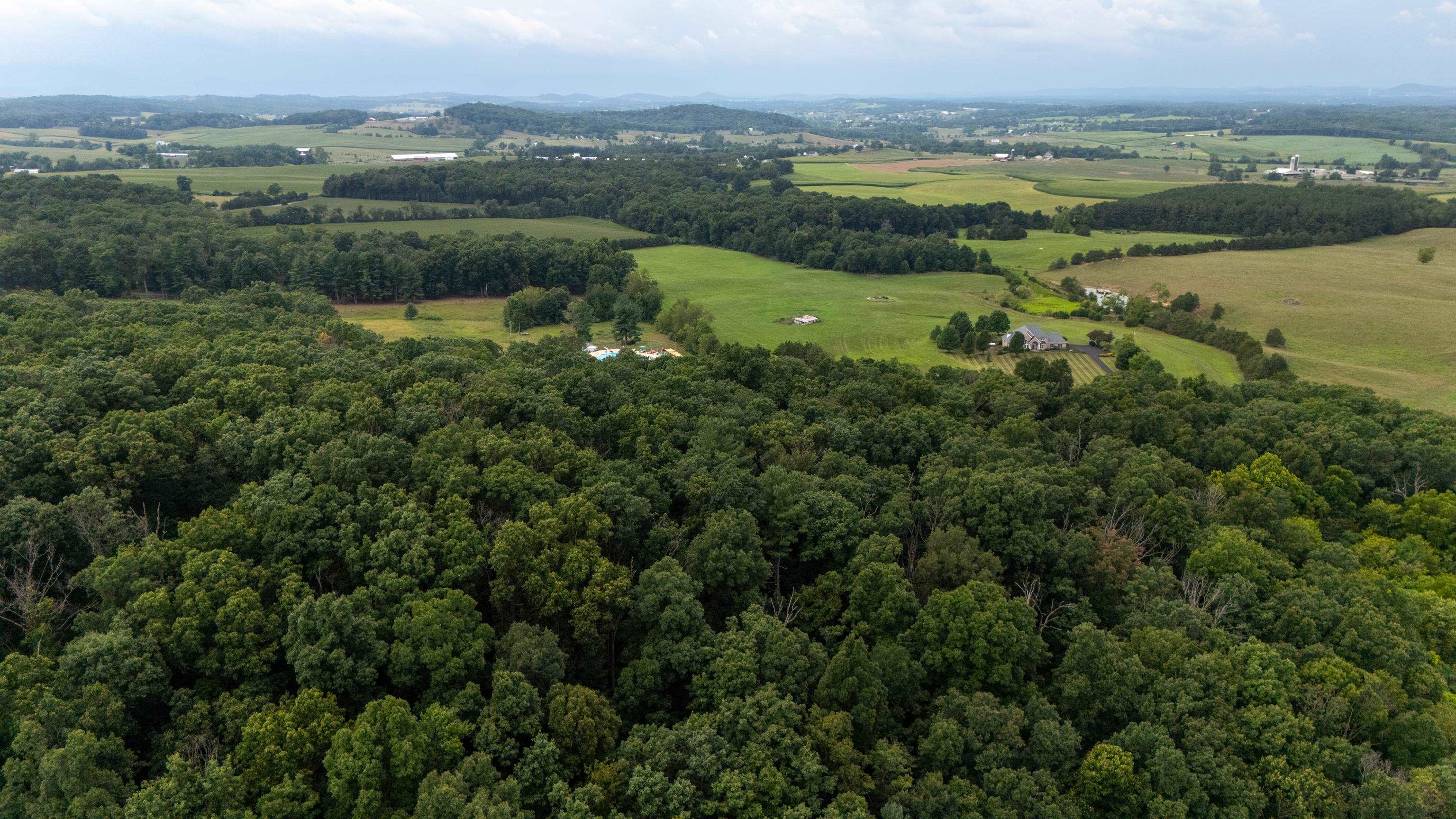 0 PINE BLUFF RD, WAYNESBORO, Virginia 22980, ,Land,0 PINE BLUFF RD,679895 MLS # 679895