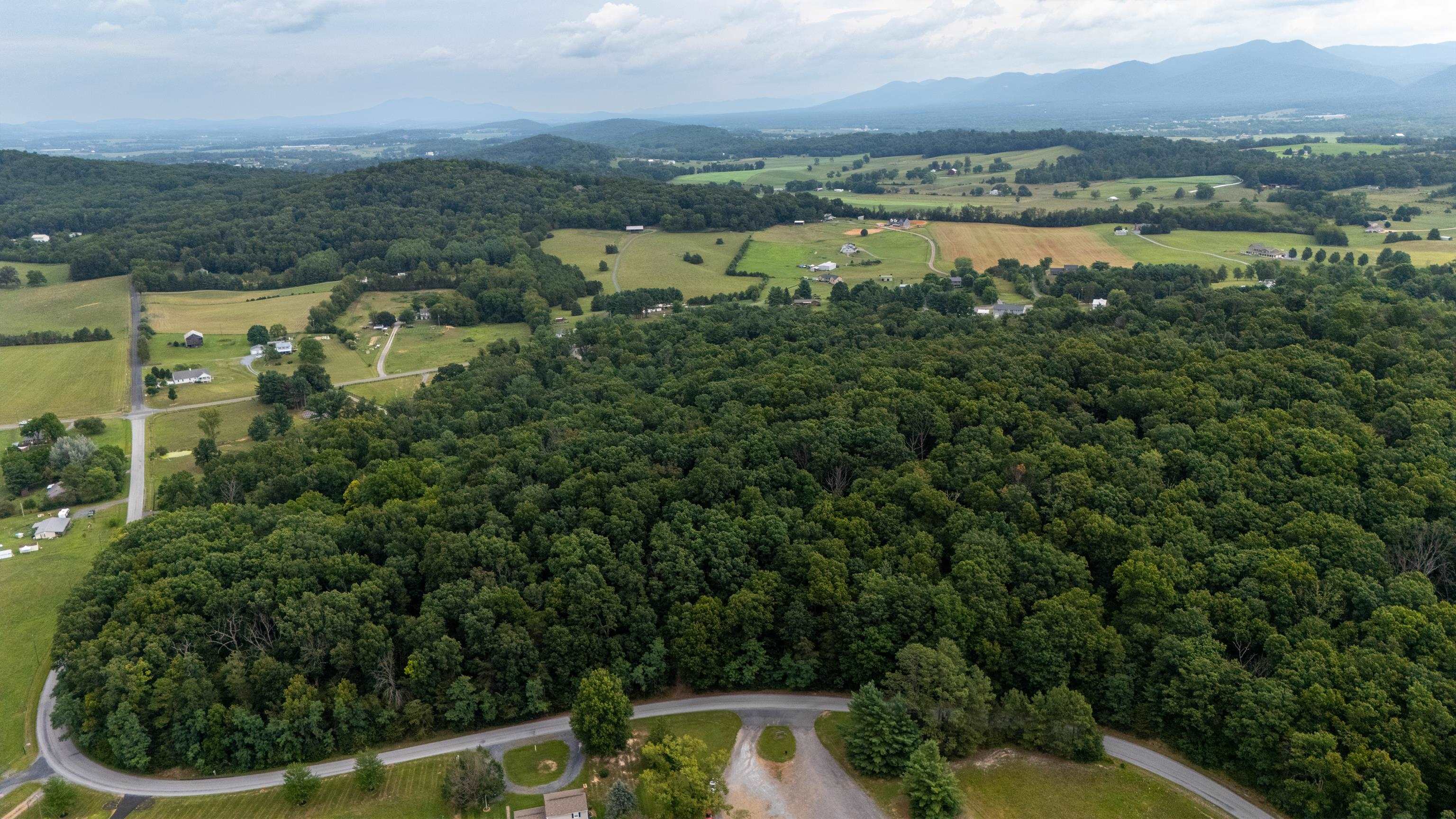 0 PINE BLUFF RD, WAYNESBORO, Virginia 22980, ,Land,0 PINE BLUFF RD,679895 MLS # 679895