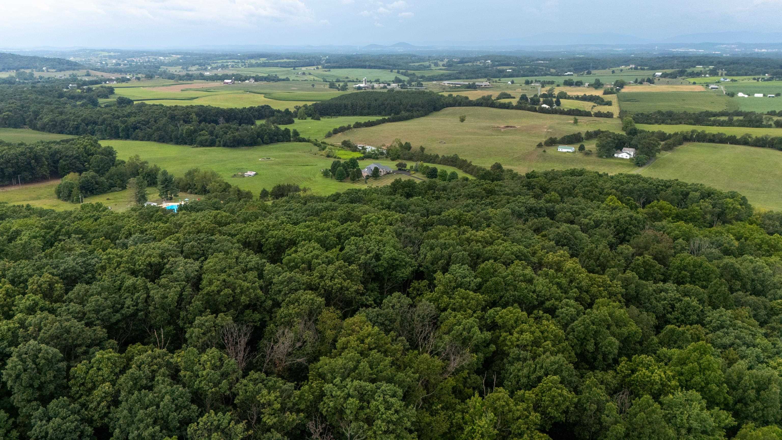 0 PINE BLUFF RD, WAYNESBORO, Virginia 22980, ,Land,0 PINE BLUFF RD,679895 MLS # 679895