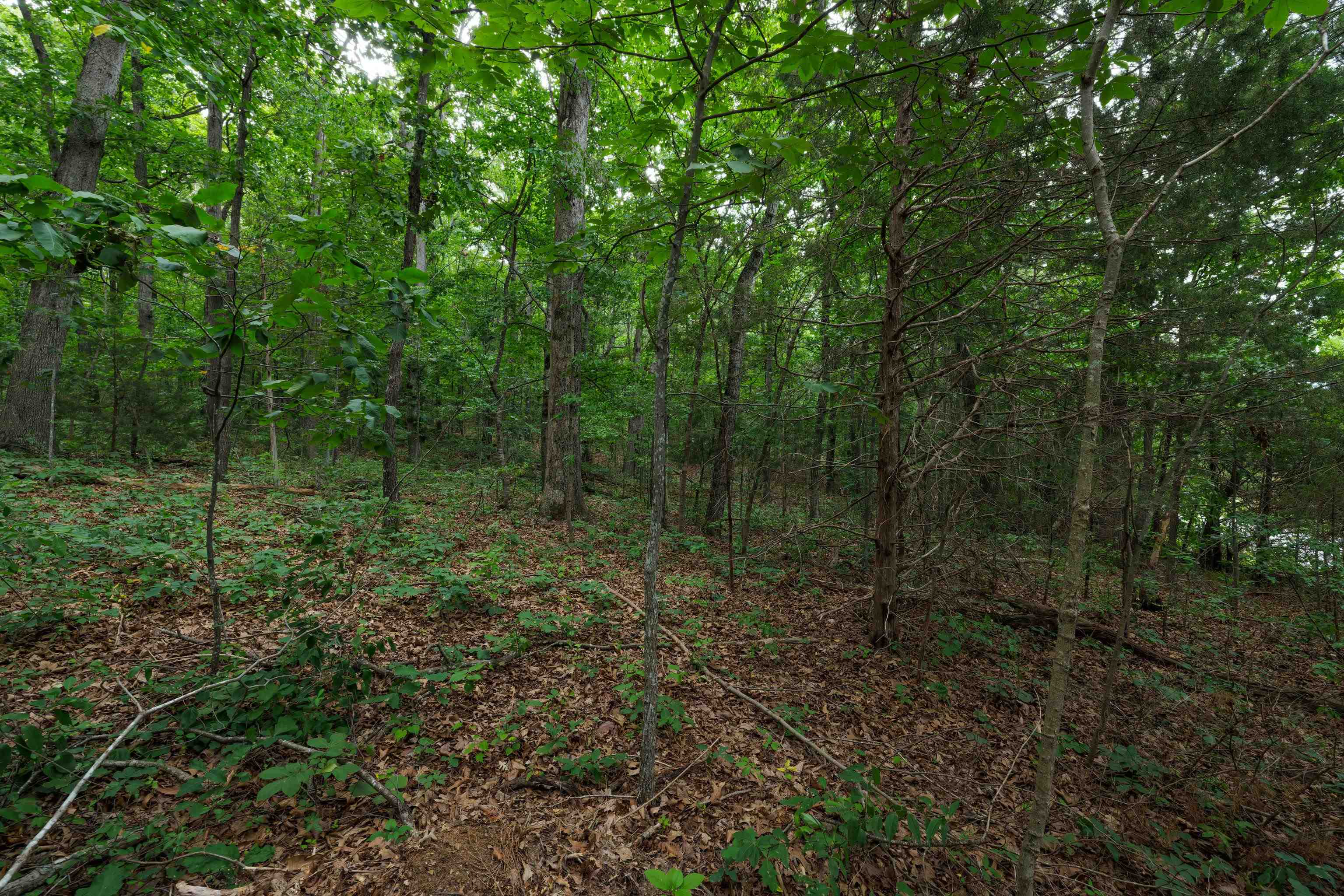 0 PINE BLUFF RD, WAYNESBORO, Virginia 22980, ,Land,0 PINE BLUFF RD,679895 MLS # 679895