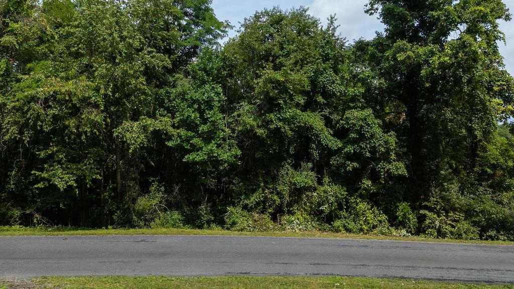 TBD STOVER SHOP RD, CHURCHVILLE, Virginia 24421, ,Land,TBD STOVER SHOP RD,679906 MLS # 679906