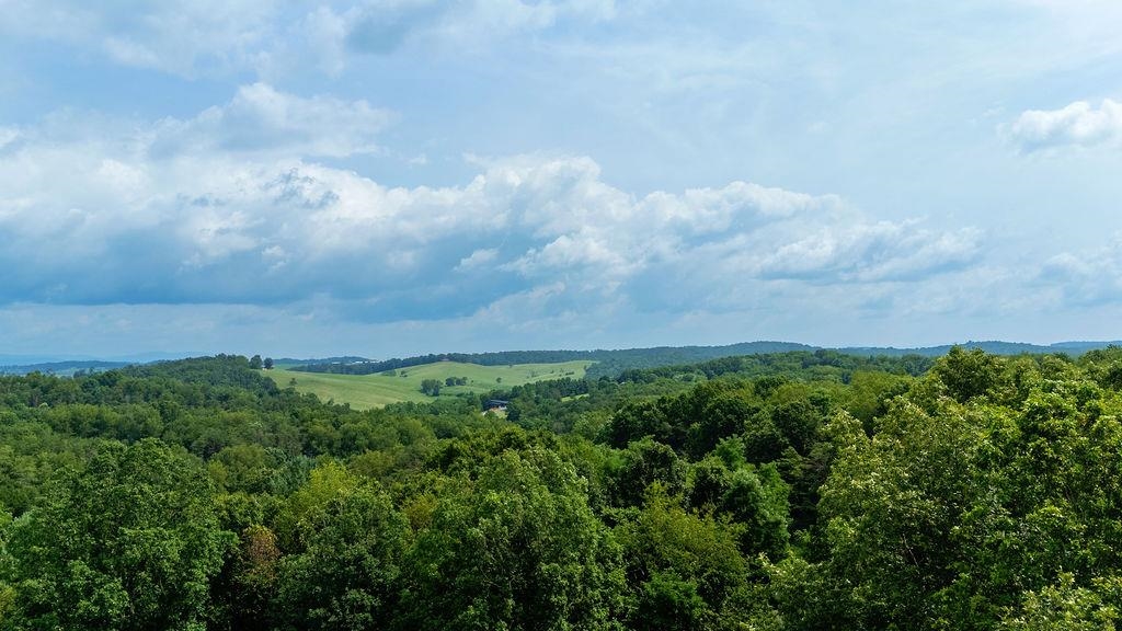 TBD STOVER SHOP RD, CHURCHVILLE, Virginia 24421, ,Land,TBD STOVER SHOP RD,679906 MLS # 679906