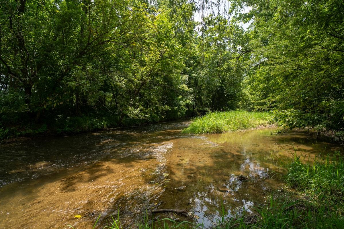 209 BUCHANAN DR, BROADWAY, Virginia 22815, 5 Bedrooms Bedrooms, ,3 BathroomsBathrooms,Residential,209 Buchanan Drive, Broadway, VA 22815,209 BUCHANAN DR,679887 MLS # 679887