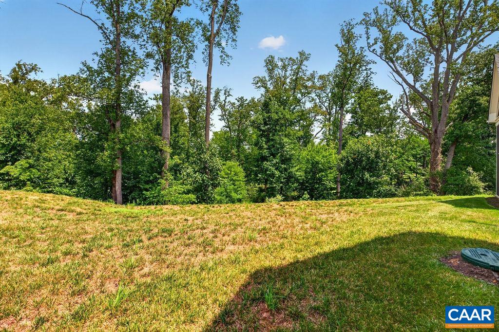 323 AVONDALE LN, CROZET, Virginia 22932, 3 Bedrooms Bedrooms, ,2 BathroomsBathrooms,Residential,323 AVONDALE LN,679902 MLS # 679902 323 AVONDALE LN, CROZET, Virginia 22932, 3 Bedrooms Bedrooms, ,2 BathroomsBathrooms,Residential,323 AVONDALE LN,679902 MLS # 679902