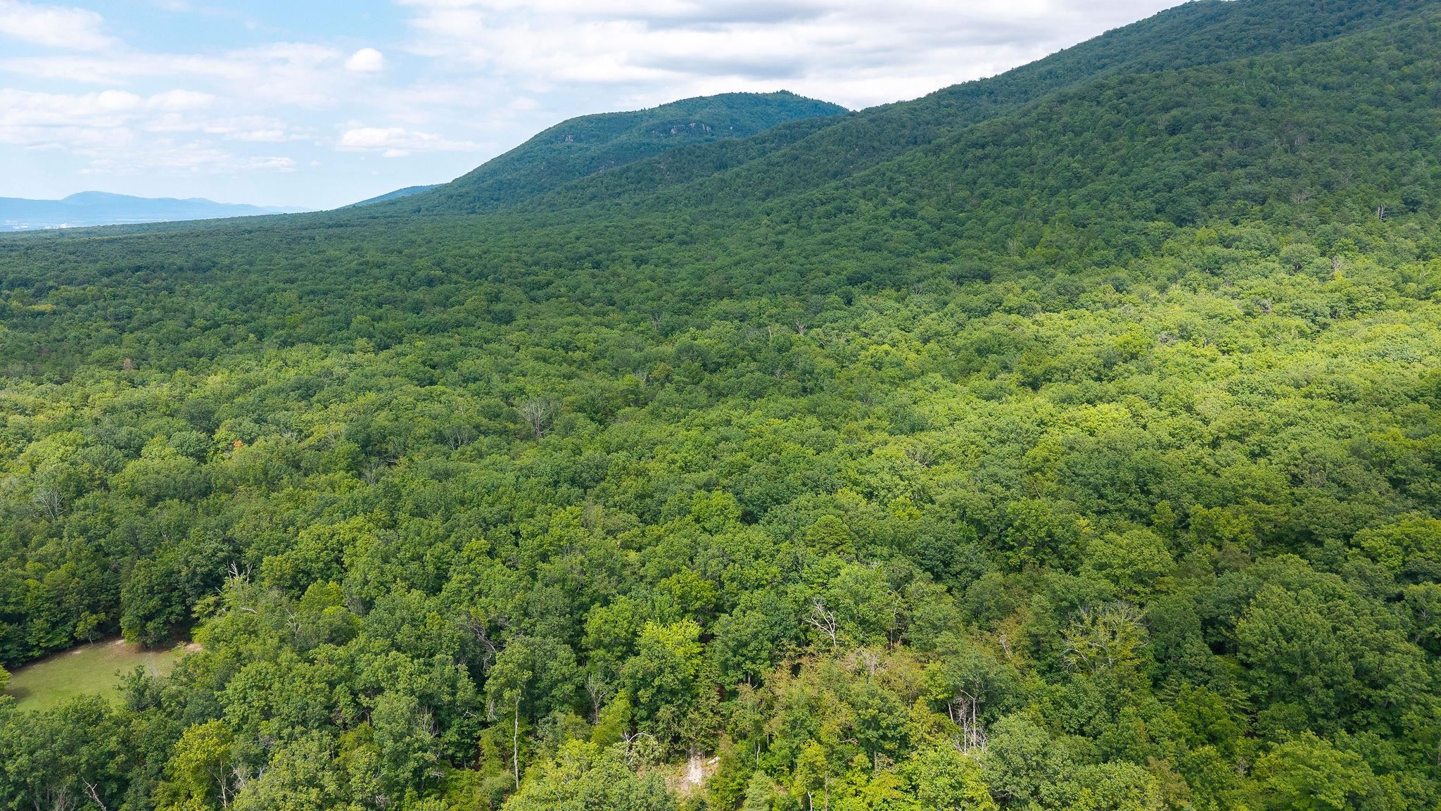 337 HORSEHEAD RD, GROTTOES, Virginia 24441, 2 Bedrooms Bedrooms, ,2 BathroomsBathrooms,Residential,Acorn Acres,337 HORSEHEAD RD,679934 MLS # 679934 337 HORSEHEAD RD, GROTTOES, Virginia 24441, 2 Bedrooms Bedrooms, ,2 BathroomsBathrooms,Residential,Acorn Acres,337 HORSEHEAD RD,679934 MLS # 679934