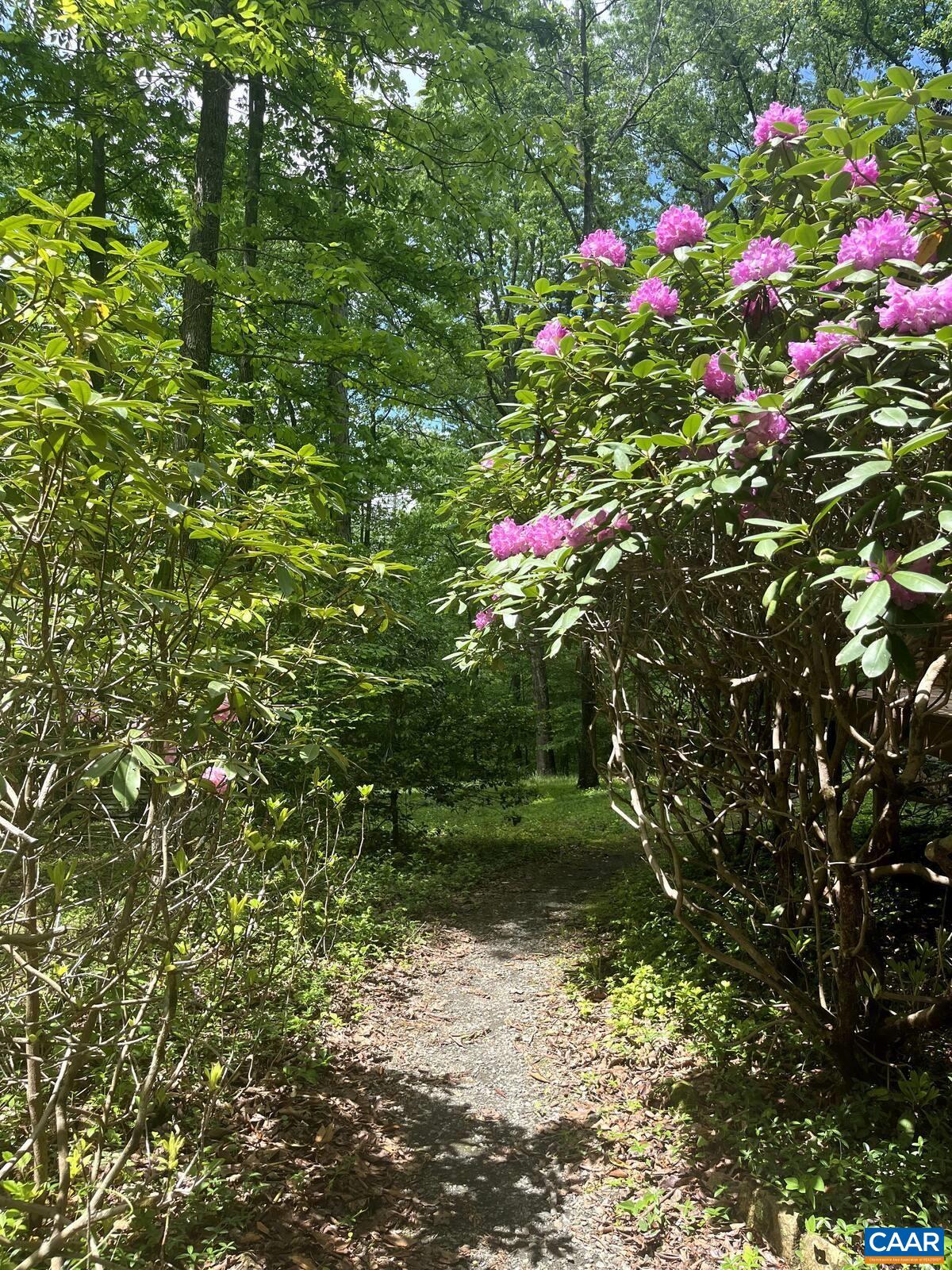 5950 BURNETT LN, ADVANCE MILLS, Virginia 22968, 3 Bedrooms Bedrooms, ,2 BathroomsBathrooms,Residential,Reverie Cabin,5950 BURNETT LN,679829 MLS # 679829