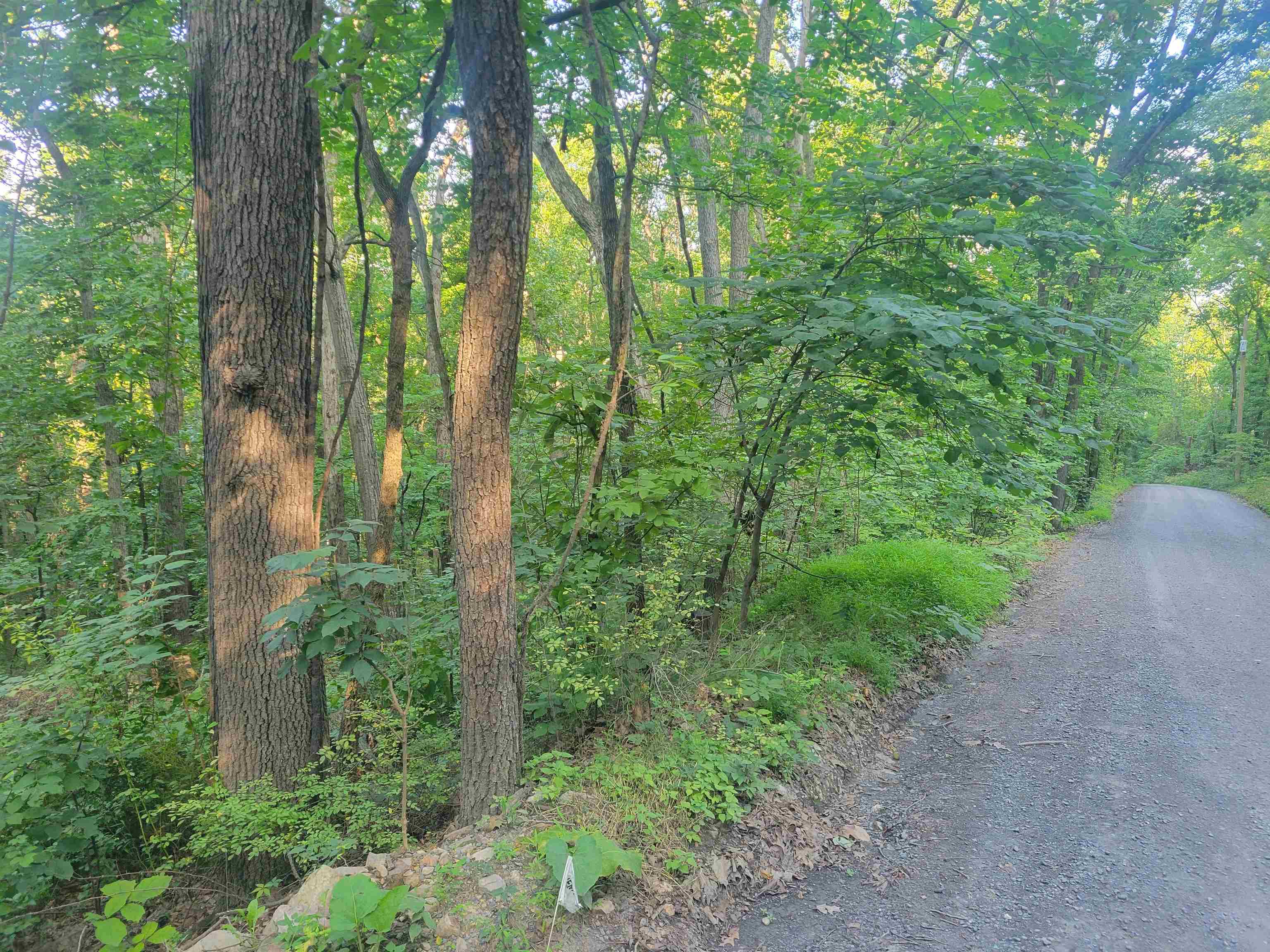 0 SUNDANCE MOUNTAIN RD, NEW MARKET, Virginia 22844, ,Land,0 SUNDANCE MOUNTAIN RD,679955 MLS # 679955