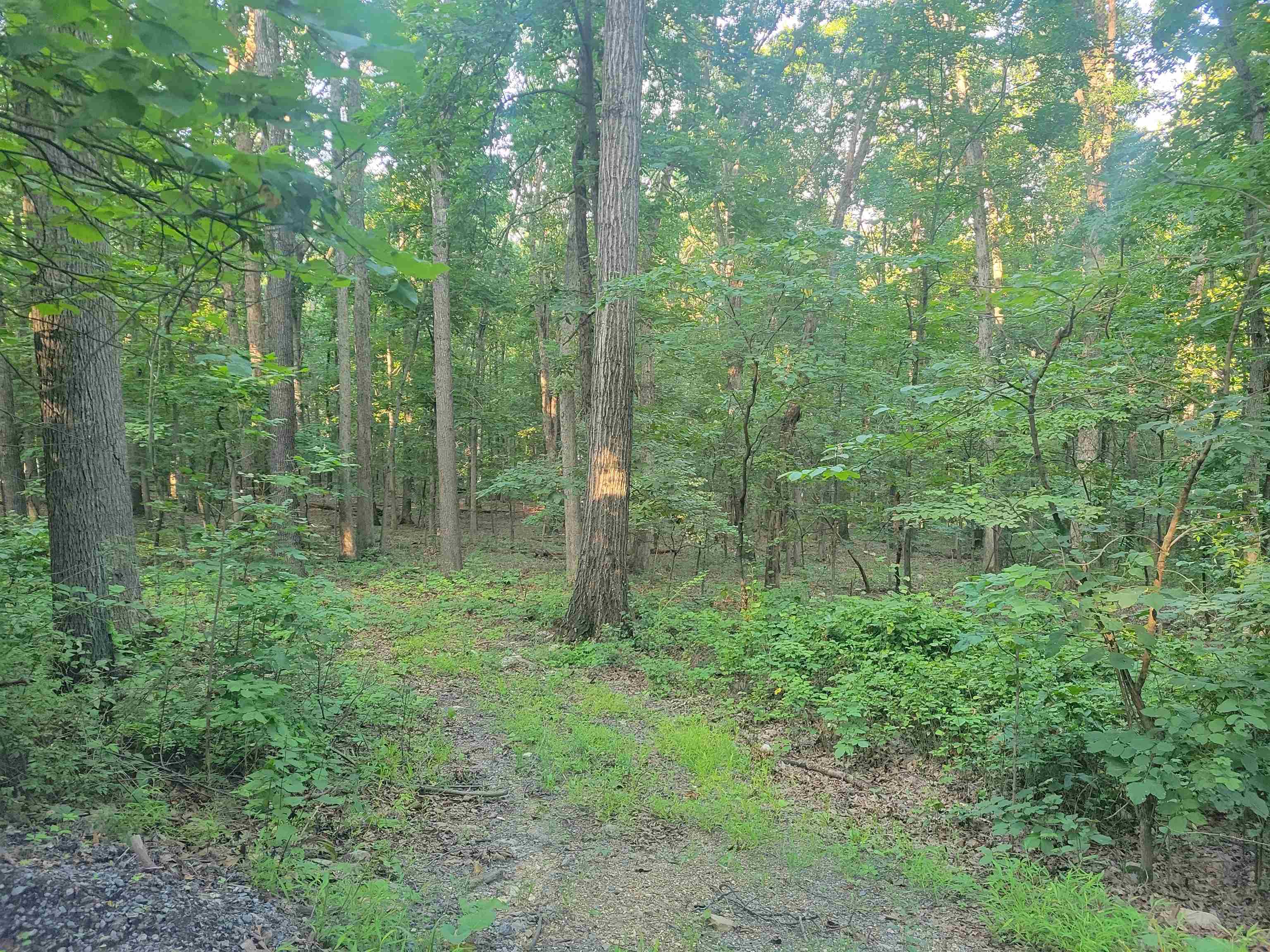 0 SUNDANCE MOUNTAIN RD, NEW MARKET, Virginia 22844, ,Land,0 SUNDANCE MOUNTAIN RD,679955 MLS # 679955