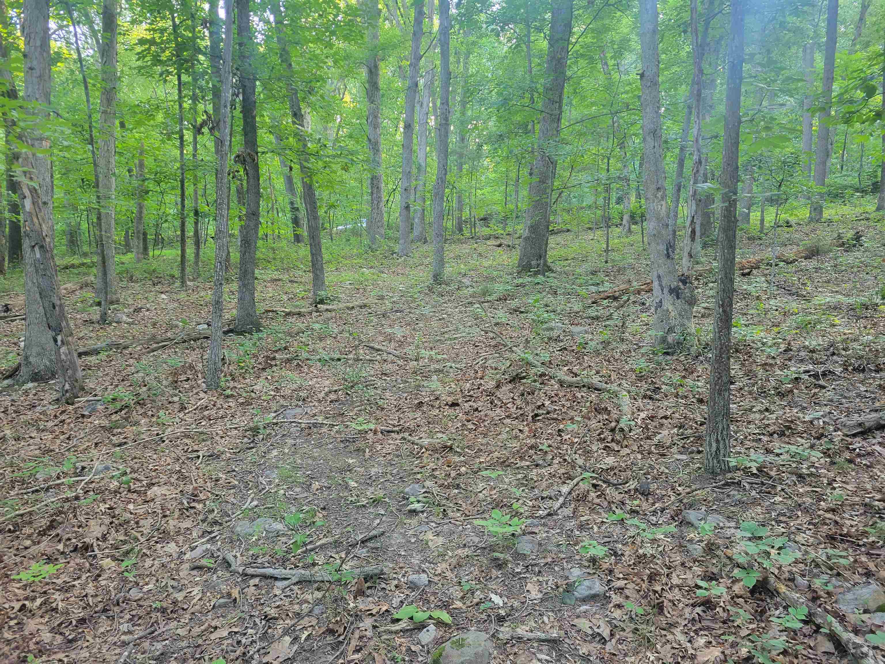 0 SUNDANCE MOUNTAIN RD, NEW MARKET, Virginia 22844, ,Land,0 SUNDANCE MOUNTAIN RD,679955 MLS # 679955