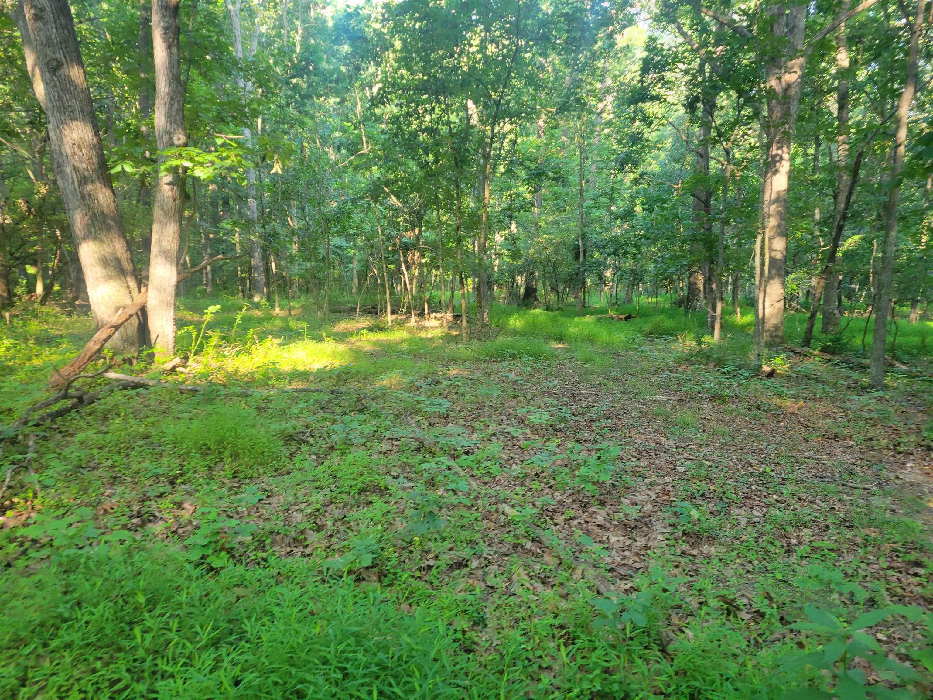 0 SUNDANCE MOUNTAIN RD, NEW MARKET, Virginia 22844, ,Land,0 SUNDANCE MOUNTAIN RD,679955 MLS # 679955