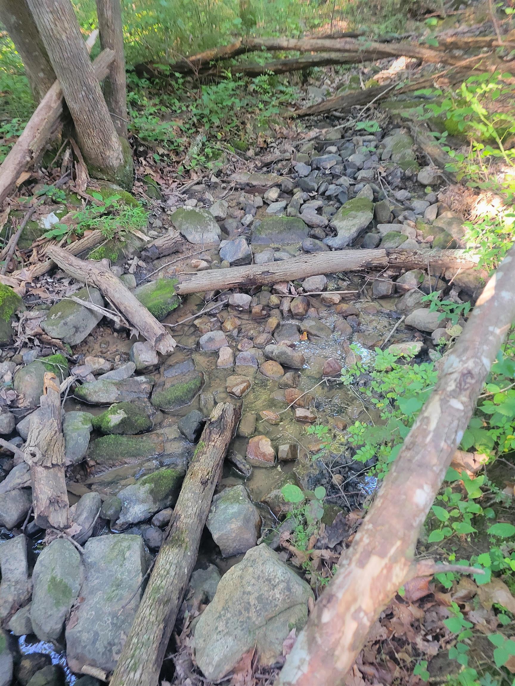 0 SUNDANCE MOUNTAIN RD, NEW MARKET, Virginia 22844, ,Land,0 SUNDANCE MOUNTAIN RD,679955 MLS # 679955