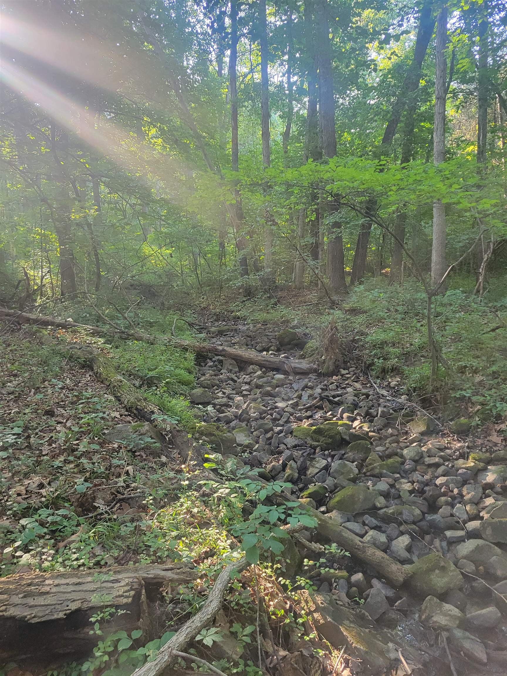 0 SUNDANCE MOUNTAIN RD, NEW MARKET, Virginia 22844, ,Land,0 SUNDANCE MOUNTAIN RD,679955 MLS # 679955