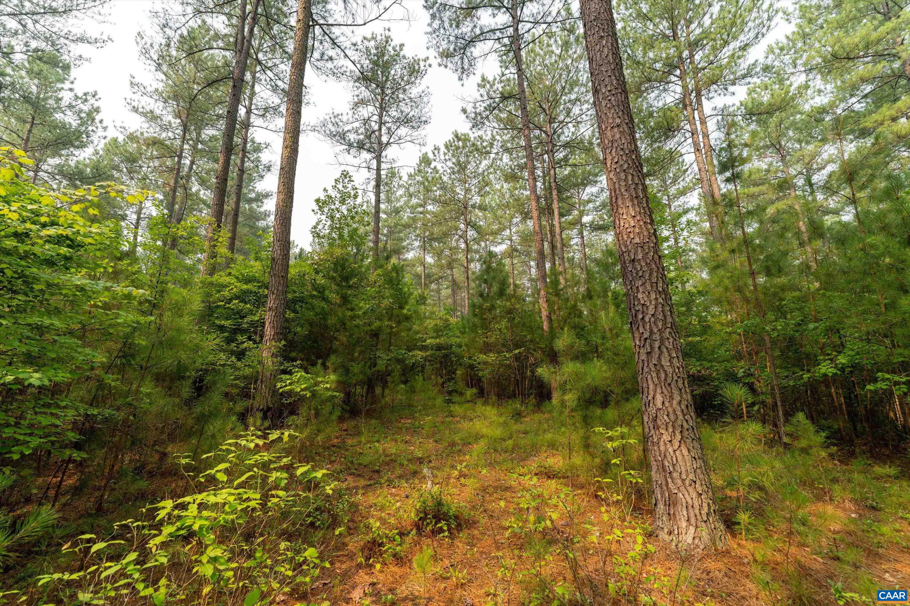 8 PINEY MOUNTAIN LN, PALMYRA, Virginia 22963, ,Land,8 PINEY MOUNTAIN LN,679989 MLS # 679989