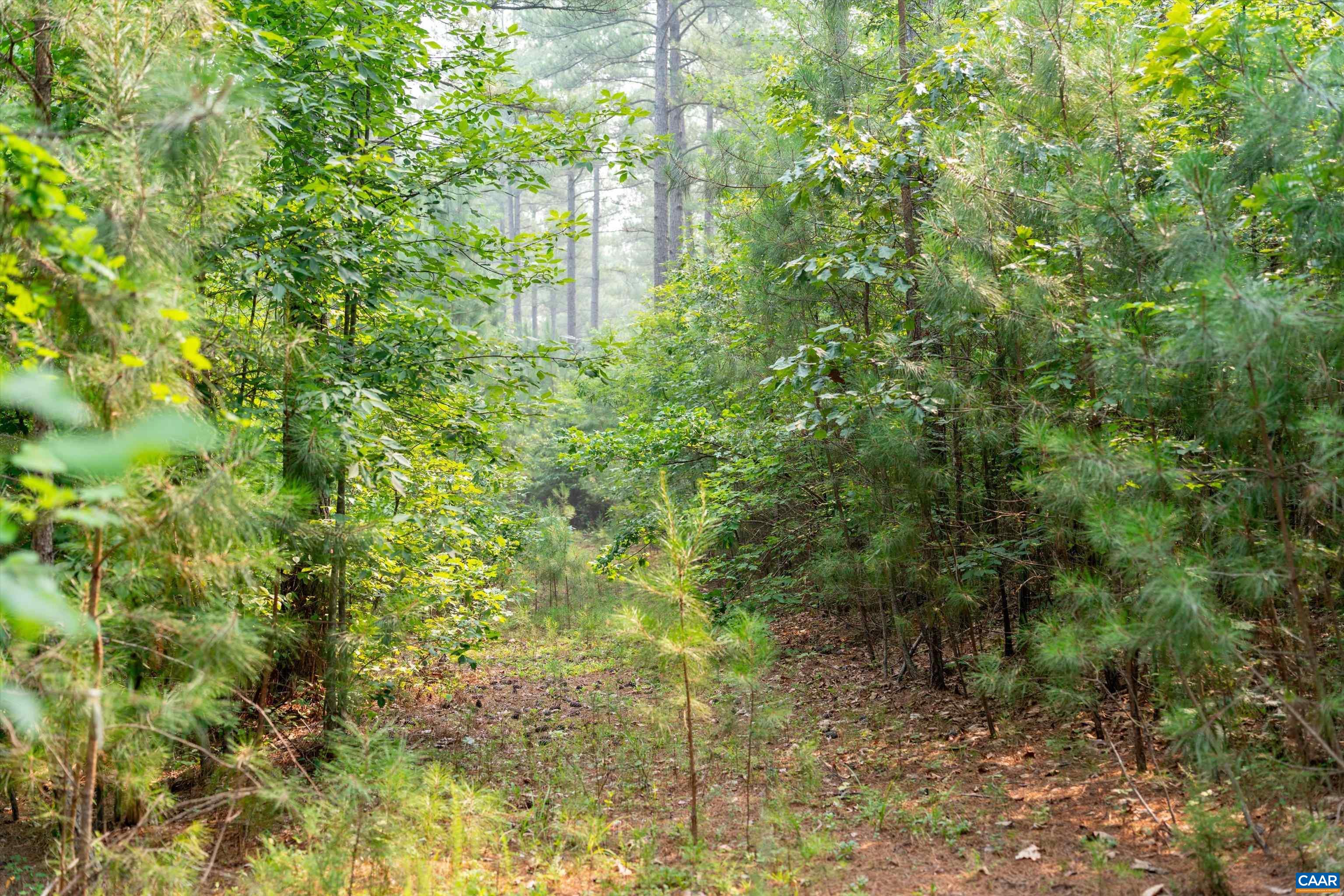 8 PINEY MOUNTAIN LN, PALMYRA, Virginia 22963, ,Land,8 PINEY MOUNTAIN LN,679989 MLS # 679989