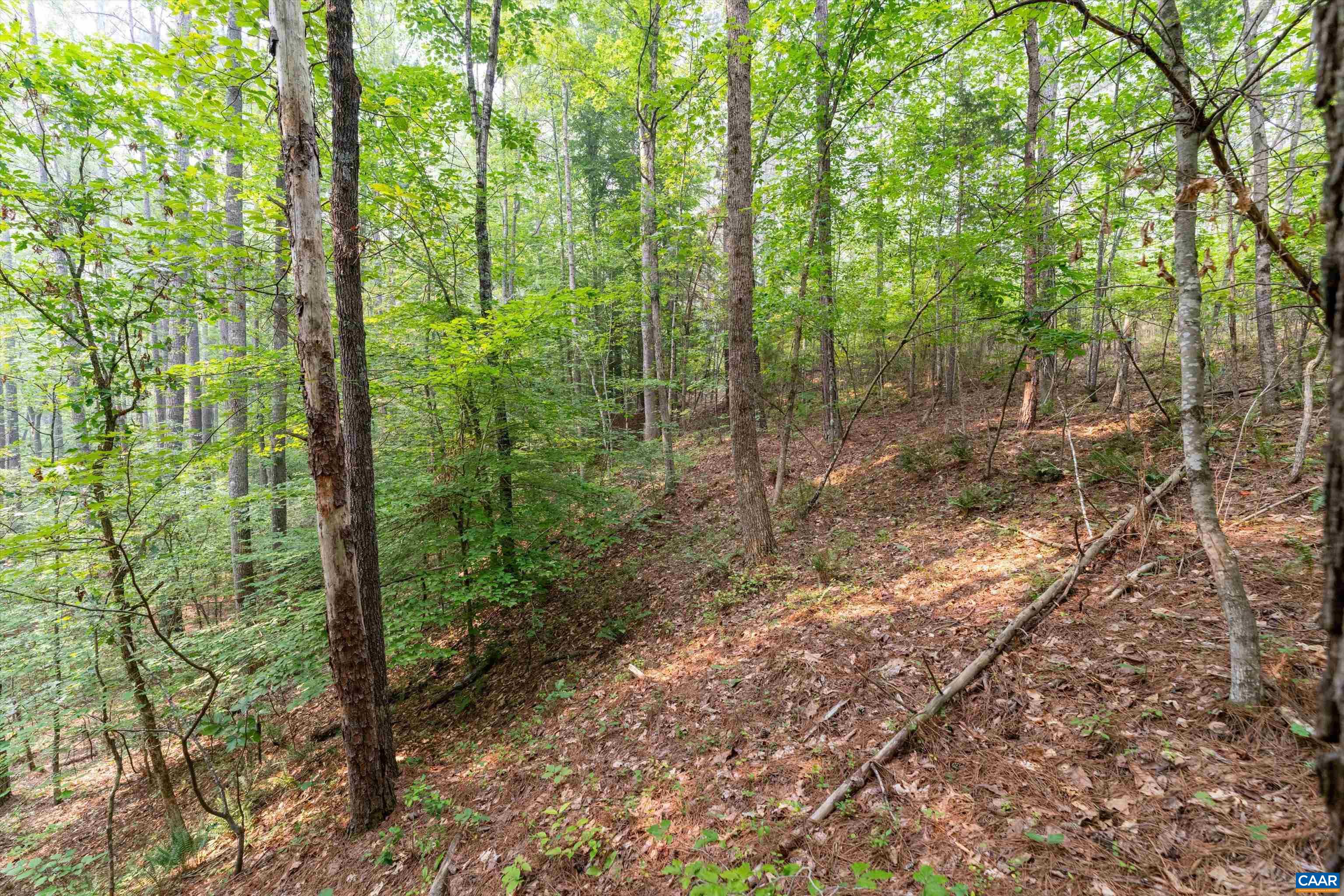 8 PINEY MOUNTAIN LN, PALMYRA, Virginia 22963, ,Land,8 PINEY MOUNTAIN LN,679989 MLS # 679989