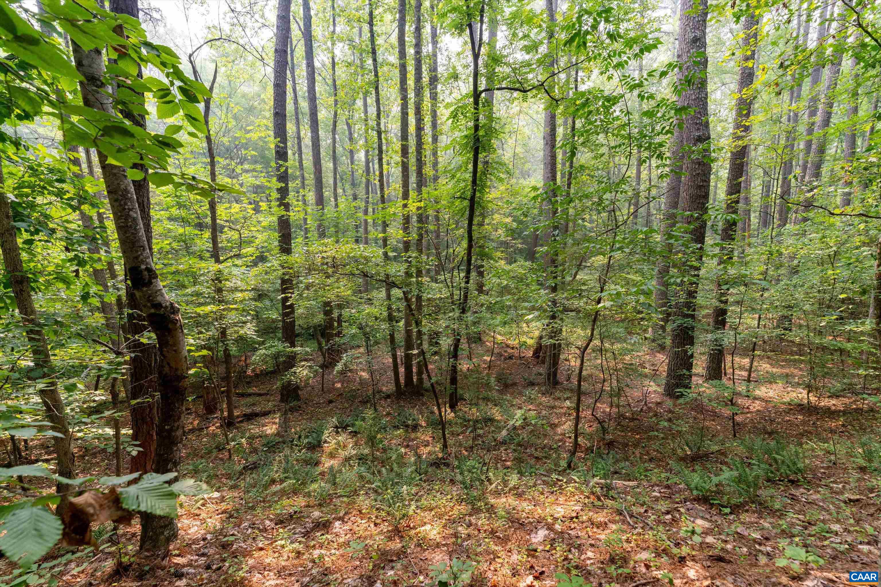 8 PINEY MOUNTAIN LN, PALMYRA, Virginia 22963, ,Land,8 PINEY MOUNTAIN LN,679989 MLS # 679989